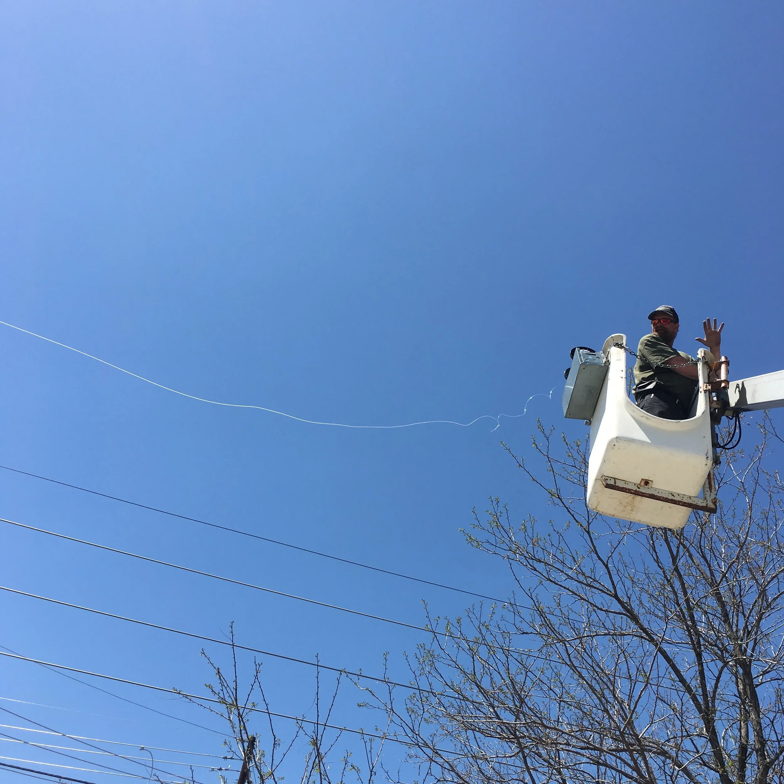 The Eruv is Up: Parashat Emor (05/05/18)