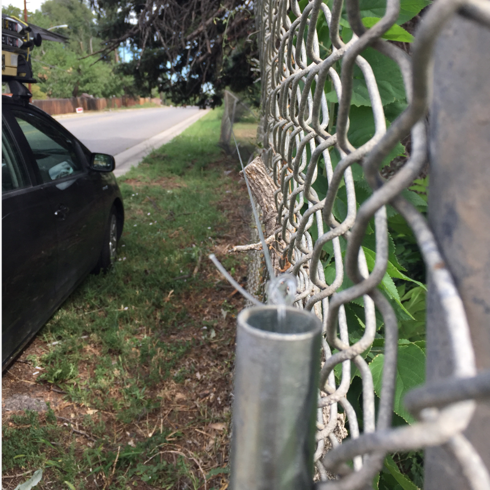 The Eruv is Up: Parashat Ki Tavo (09/01/18)