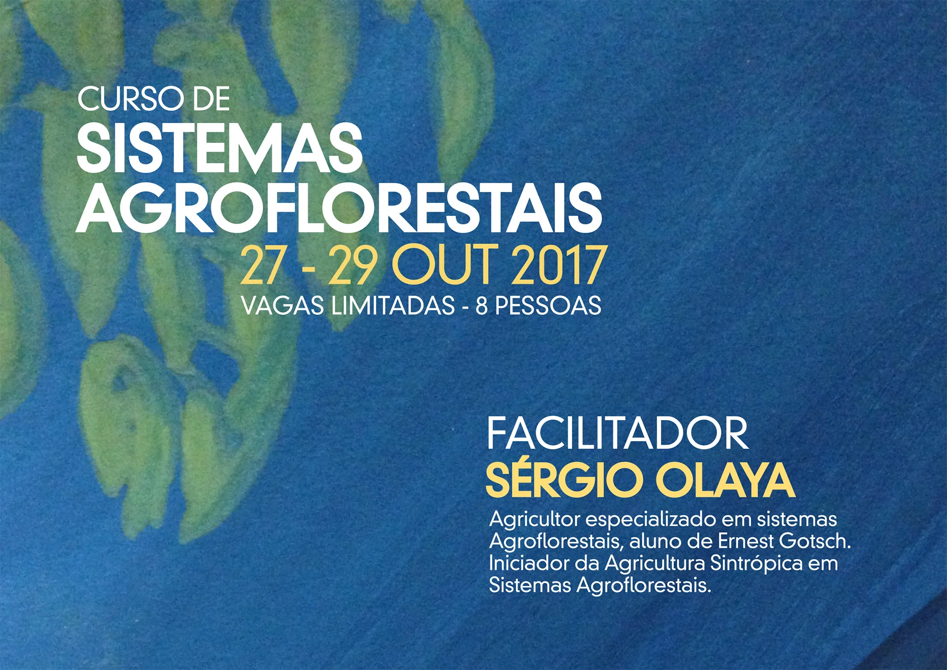 Curso de Sistemas Agroflorestais