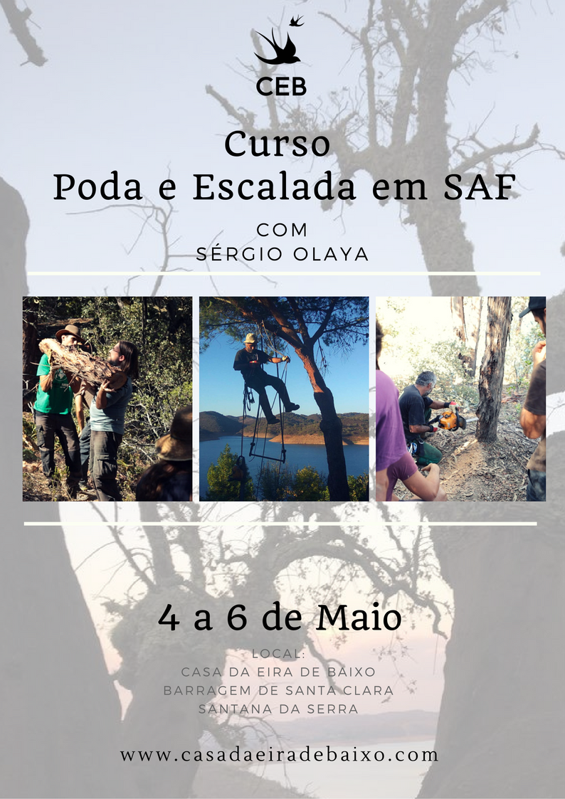 Curso de Poda & Escalada em Saf