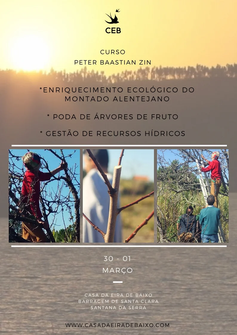 Curso com Peter Baastian Zin