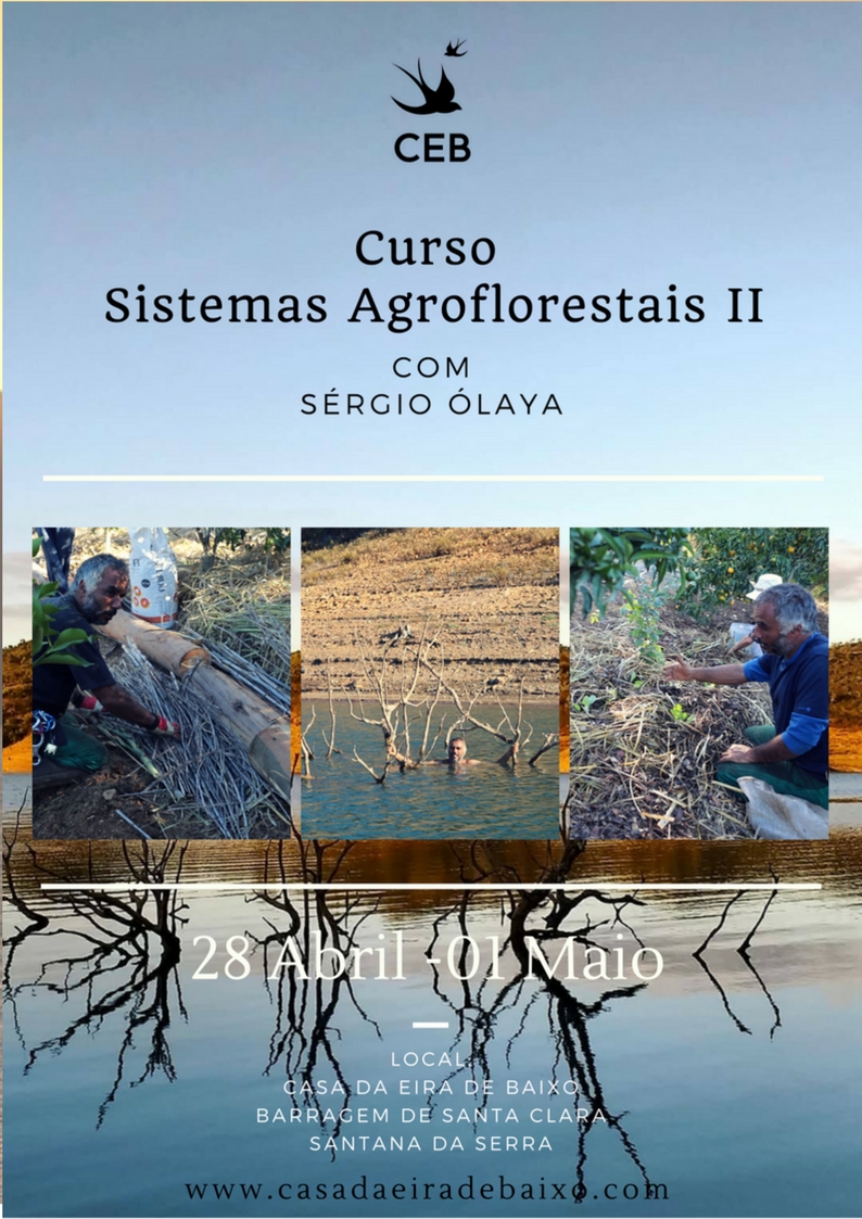 flyer agrofloresta II.jpg