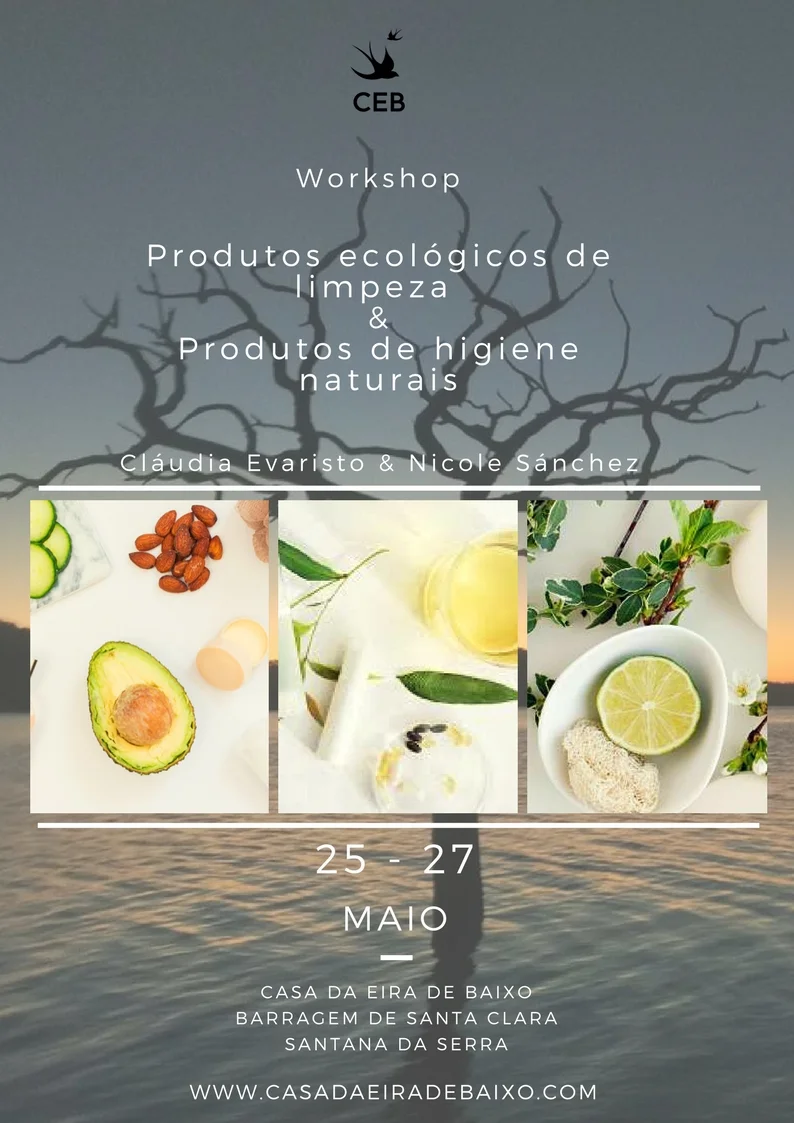 Workshop de Produtos Ecológicos de limpeza da casa & Produtos de Higiene naturais