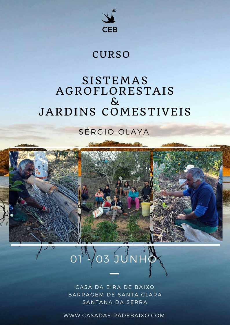 Curso de Sistemas Agroflorestais & Jardins Comestiveis com Sérgio Ola