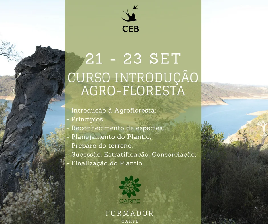 Curso Introdução Agrofloresta