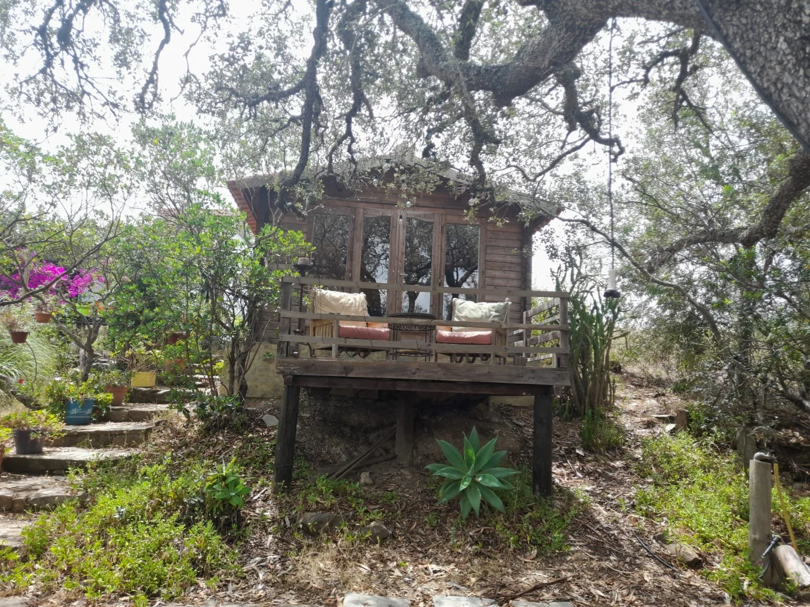 WhatsApp Image 2023-05-23 at 13.52.53.jpeg