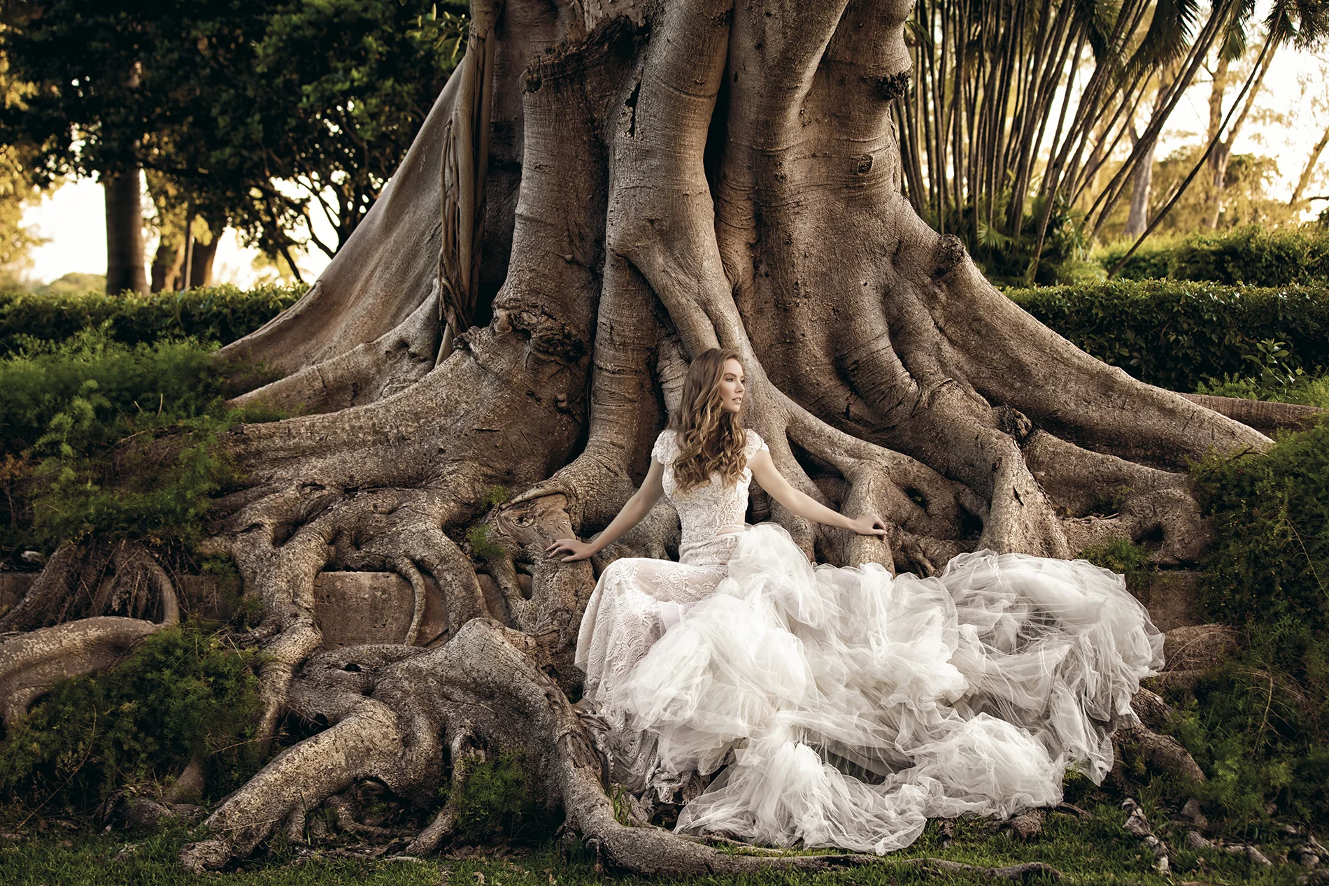 Bride on tree.jpg
