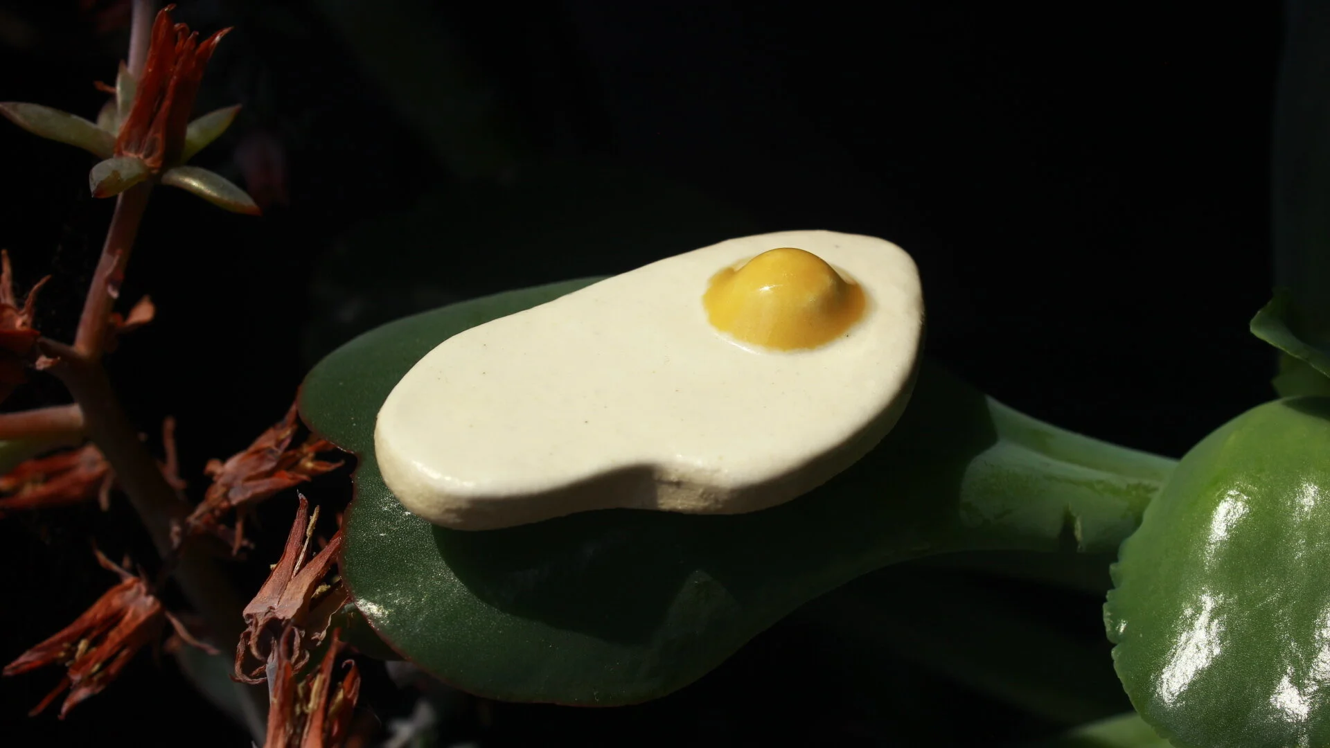 84BBB6F9-3CC2-4C4D-9D69-4DCDB2DB0643