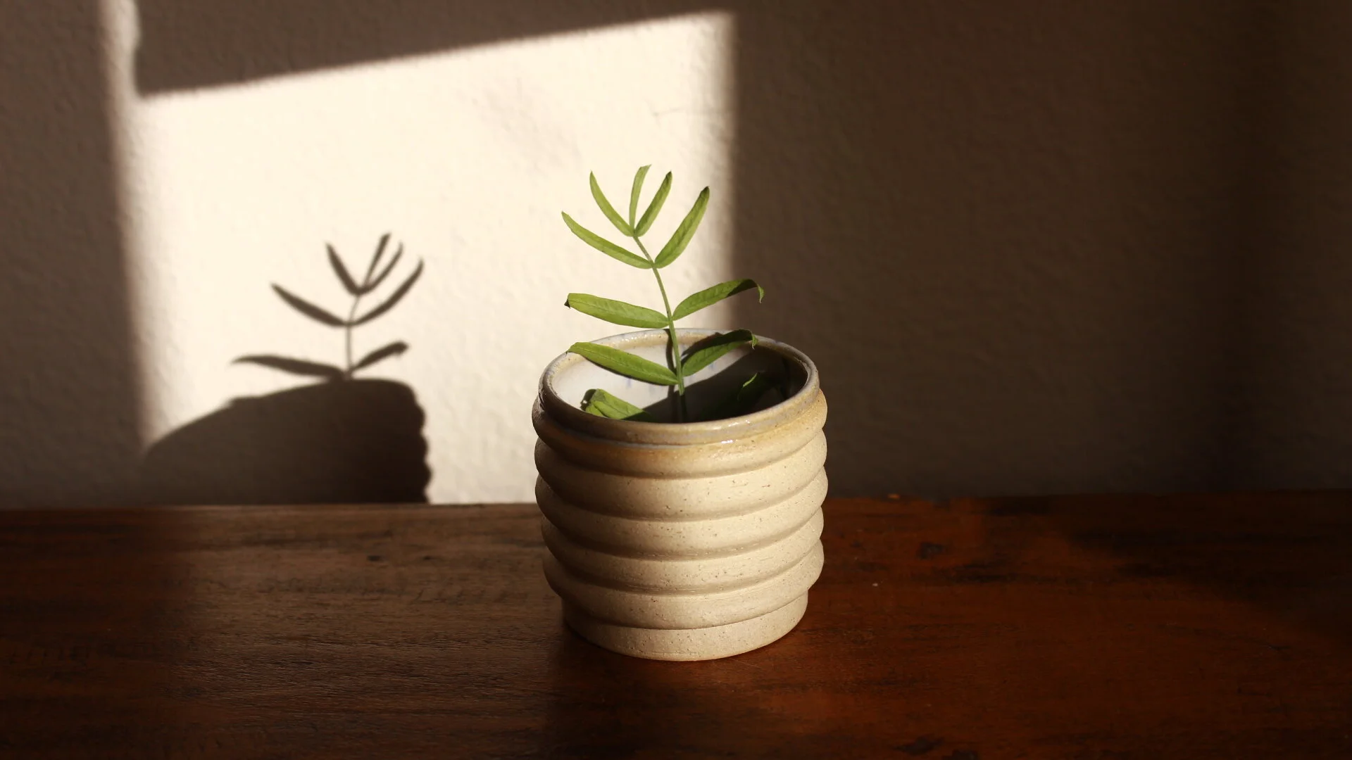 55B8371C-A052-4261-8030-9EFB3166C97B