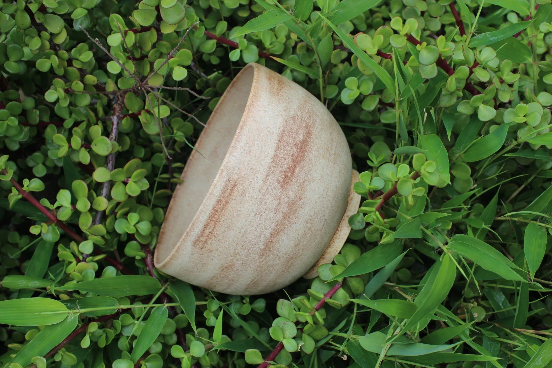 mocha shino ramen bowl