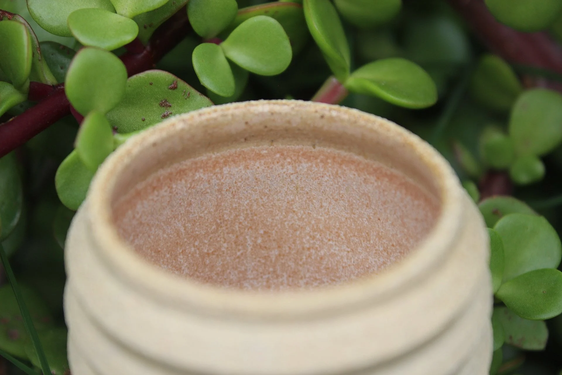 IMG_5626.jpg