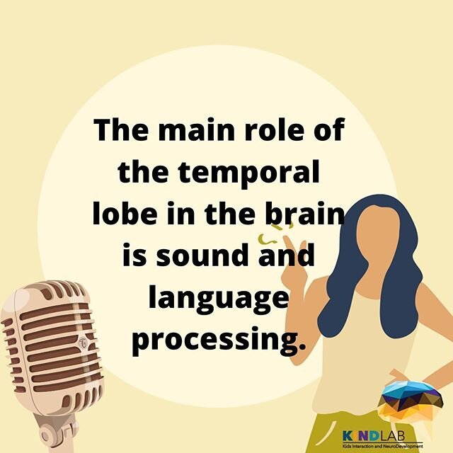 The main role of the temporal lobe in the brain is sound and language processing.
#brain #language #funfact #neuro #neuroscience #bio #biology #ucr #ucriverside #temporal #lobe #kindlab