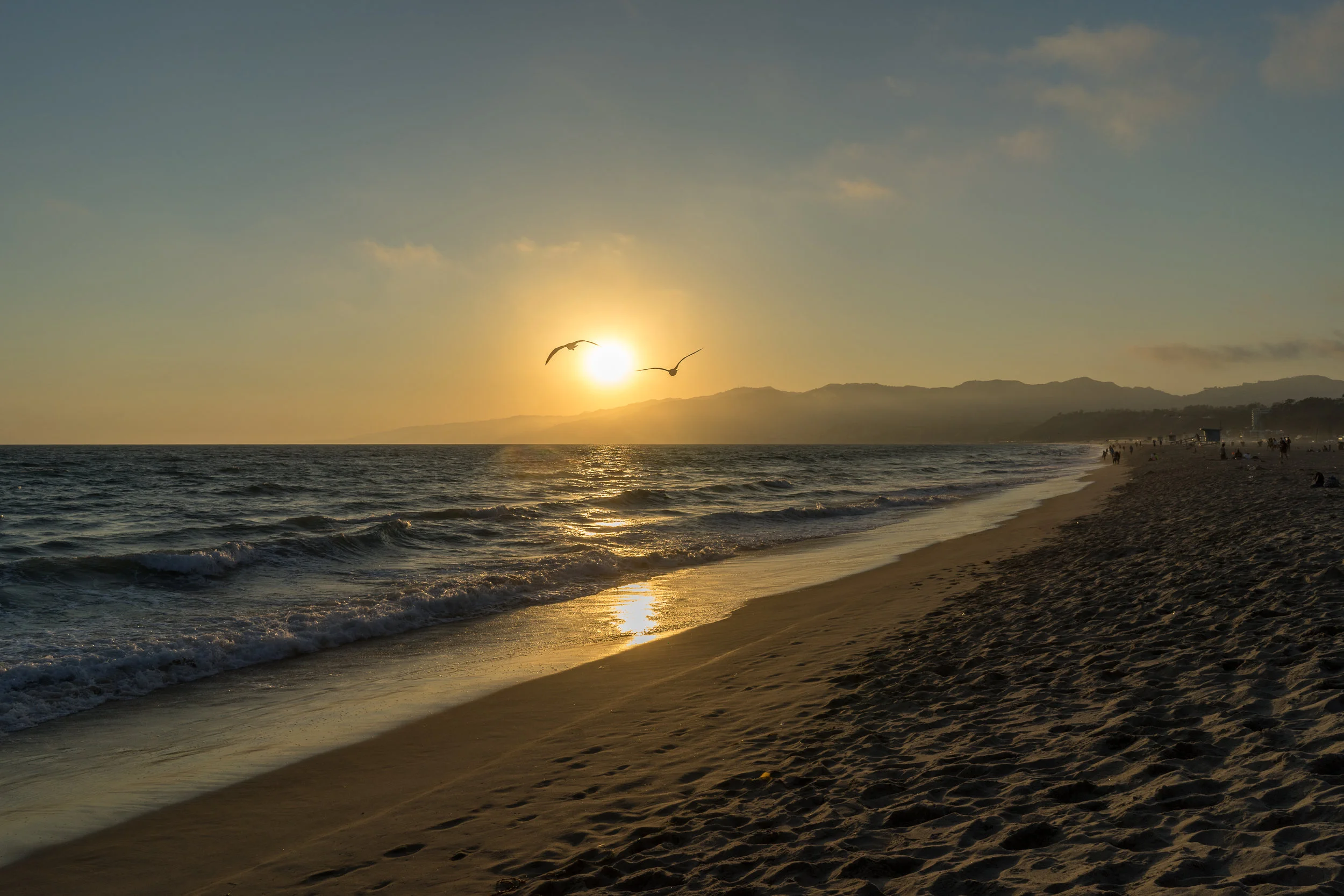 Santa Monica Sunset Birds Print File 2.jpg