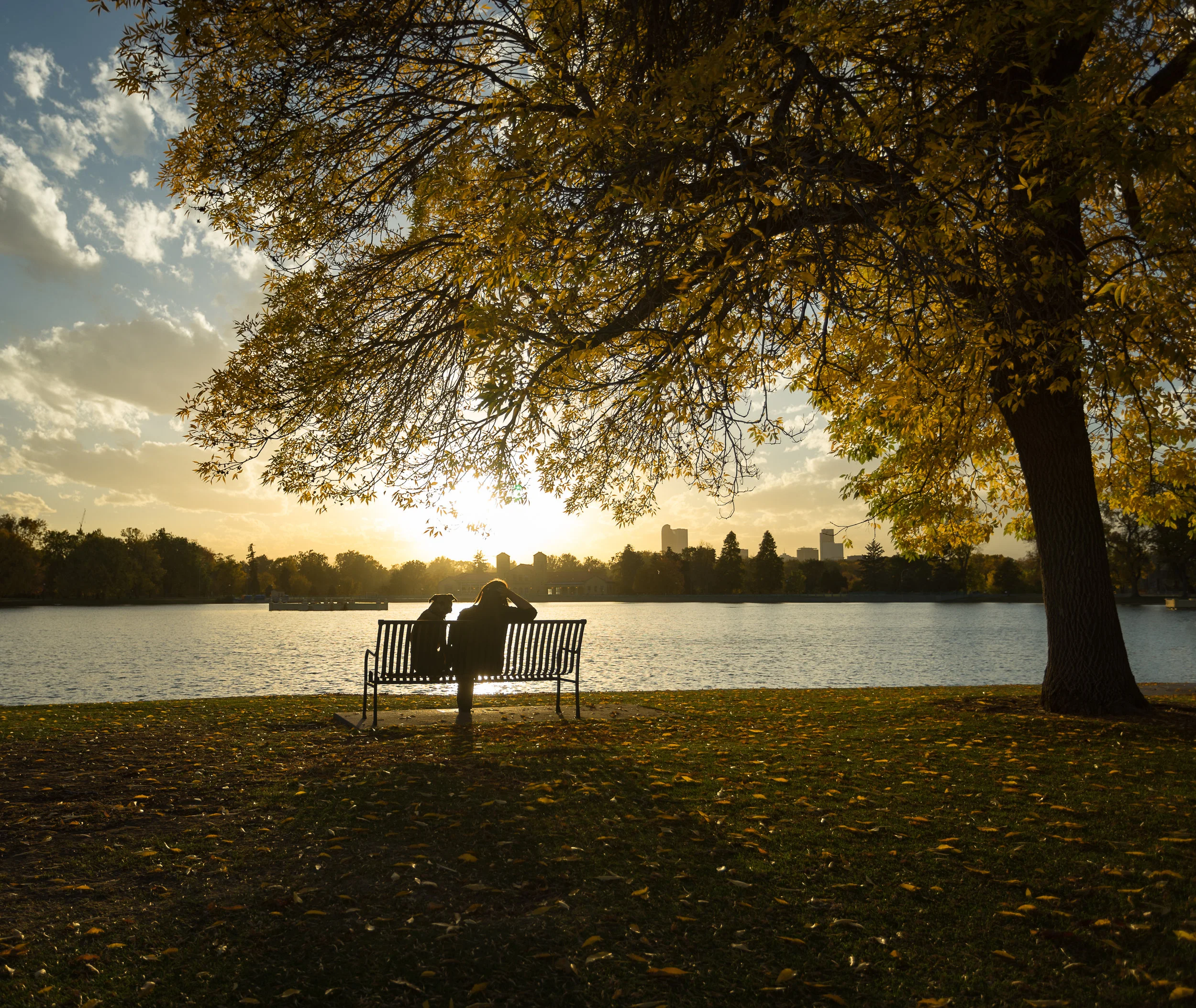 City Park Woman and Dog on Bench.jpg