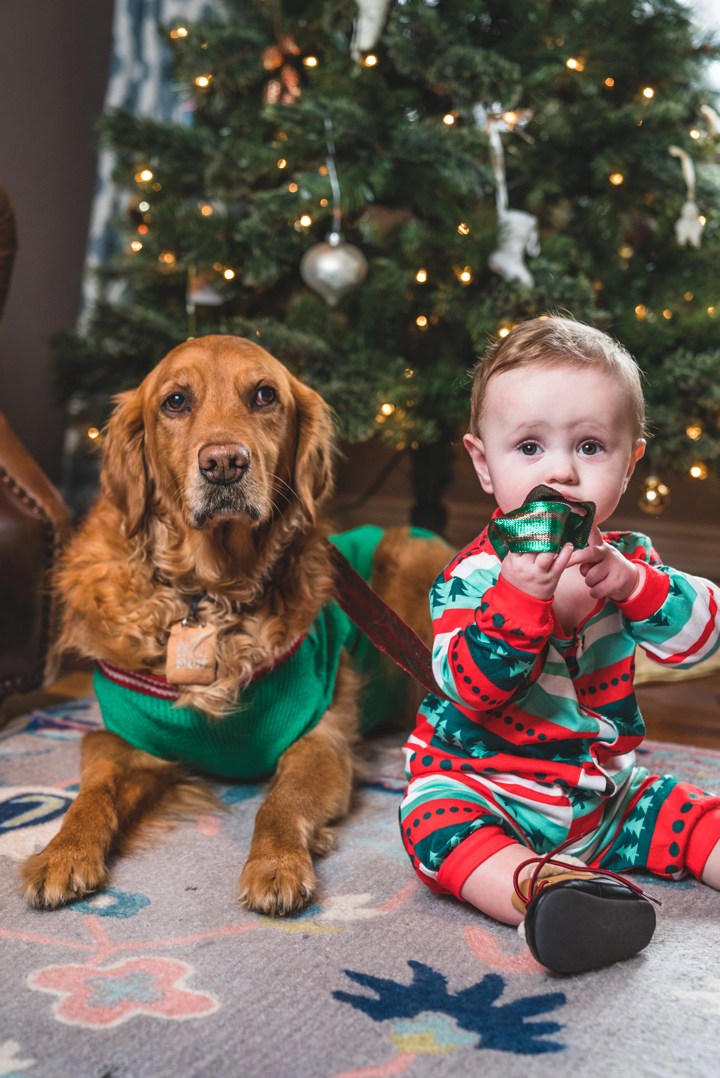 Dog and Baby by Tree.jpg