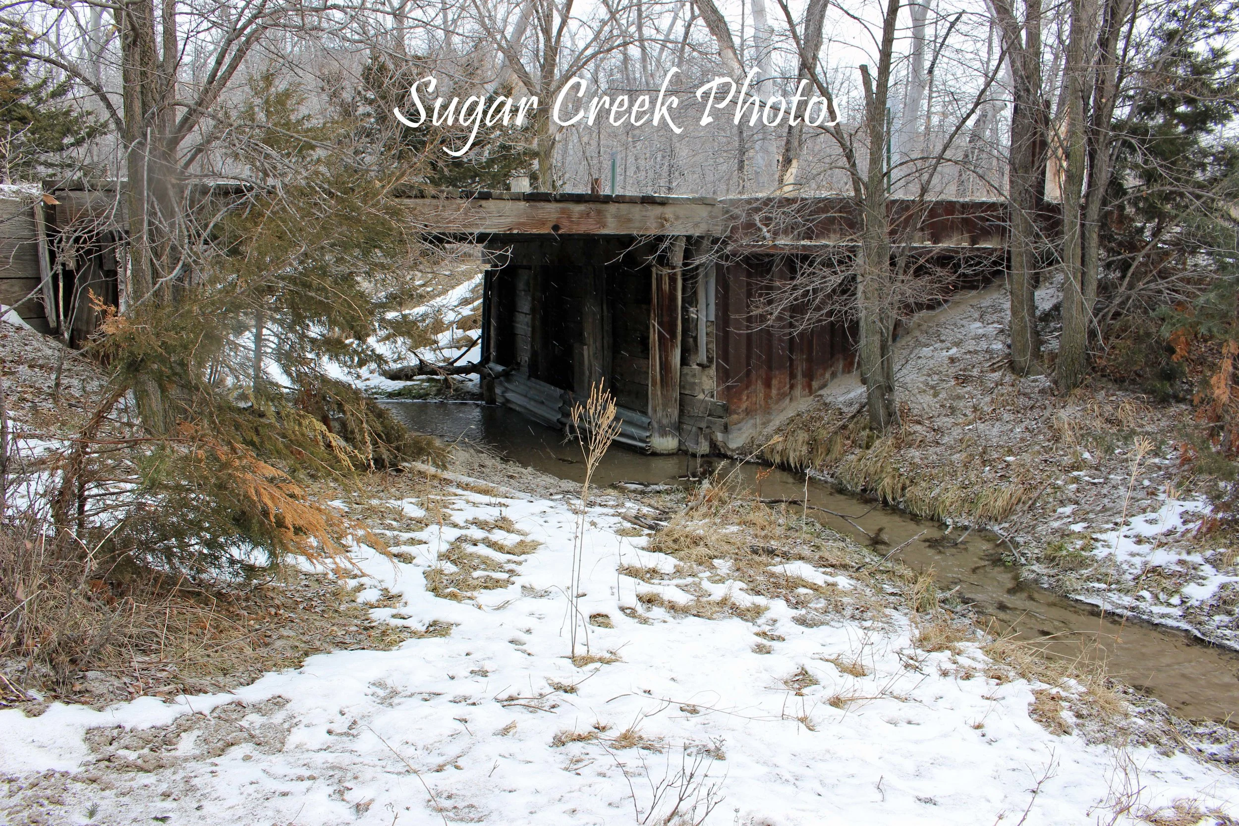 SCP 4x6 IMG_5544.jpg