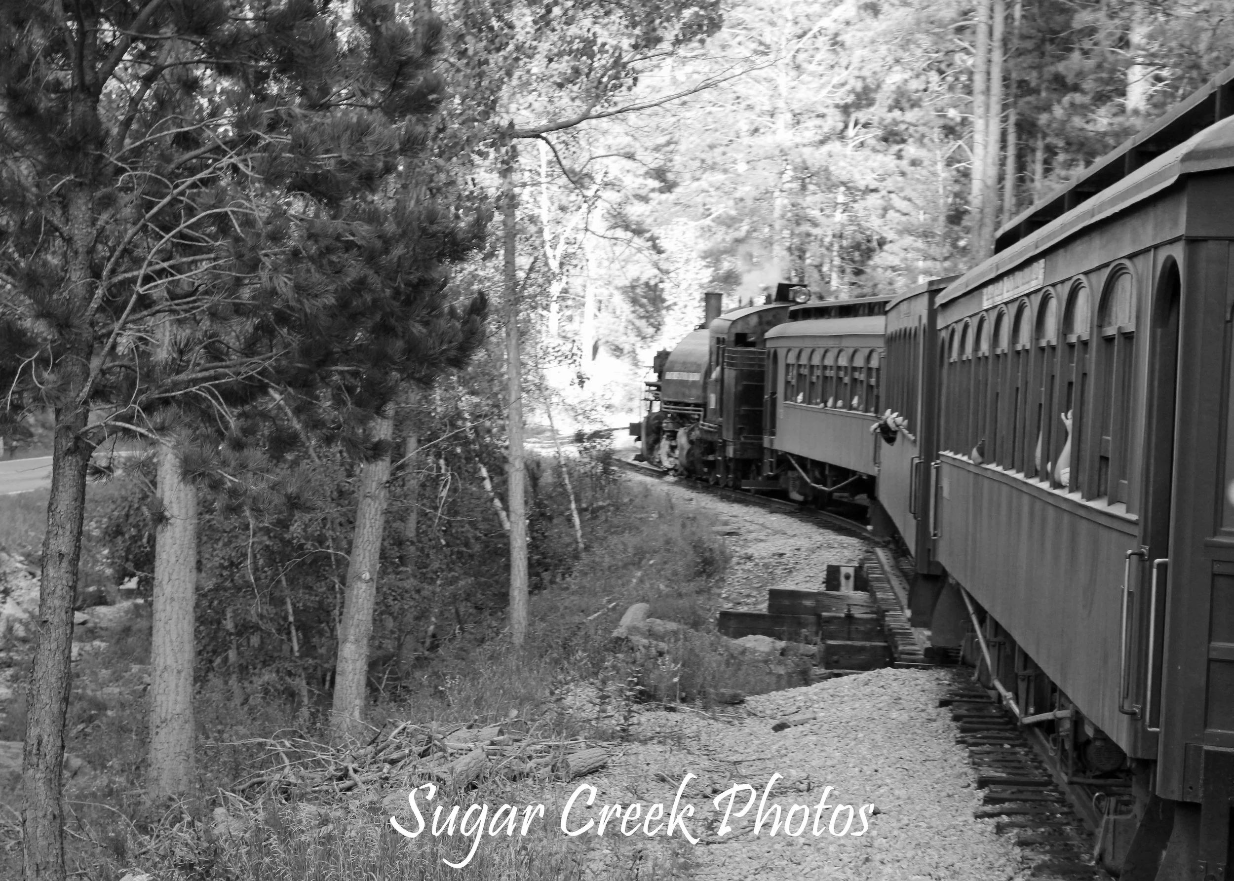SCP 1880s Train B&W IMG_8194.jpg