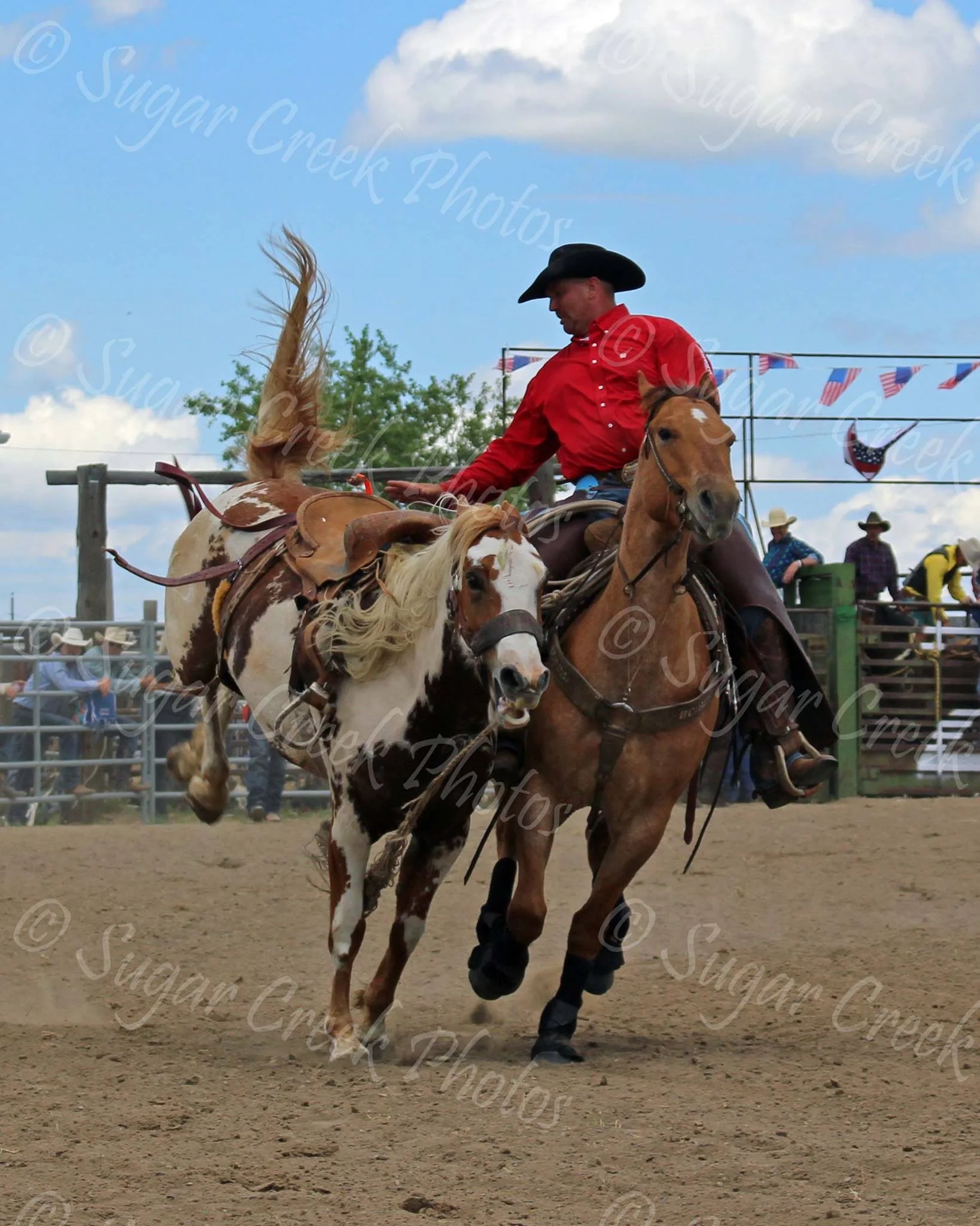 Shawn Porch Pickin Up
