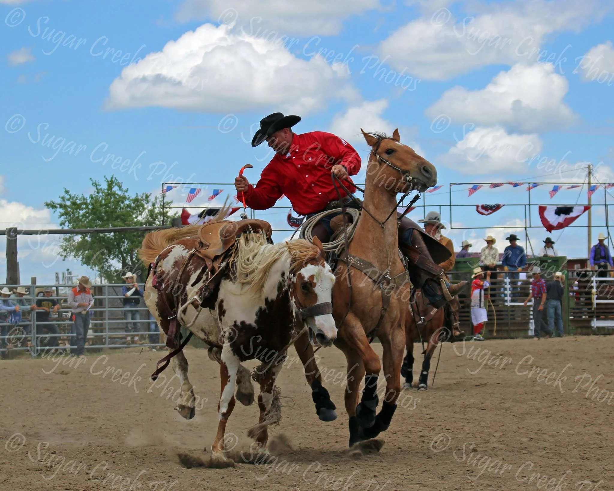Shawn Porch Pulling Flank