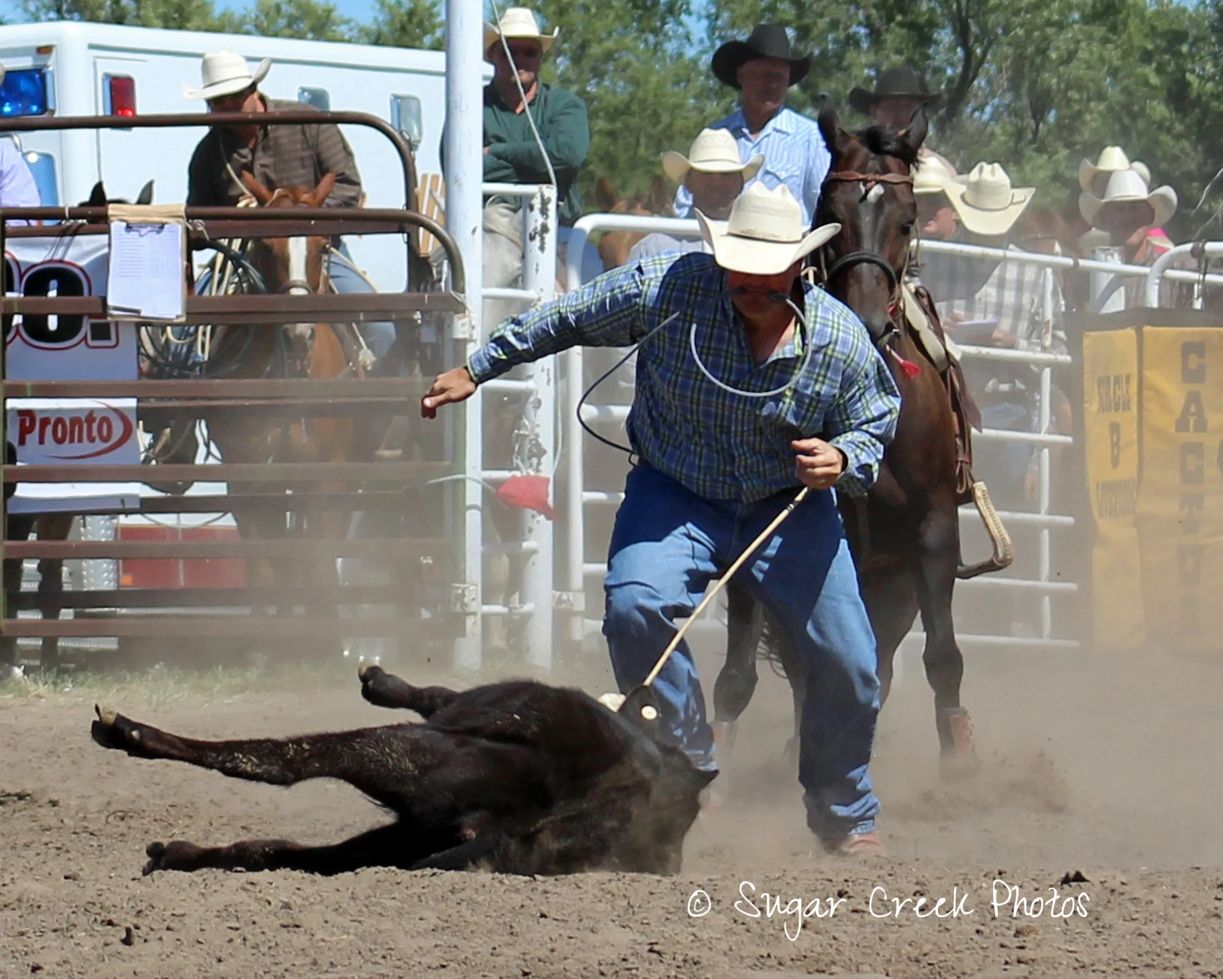 J. Ross 8x10 IMG_6588.jpg