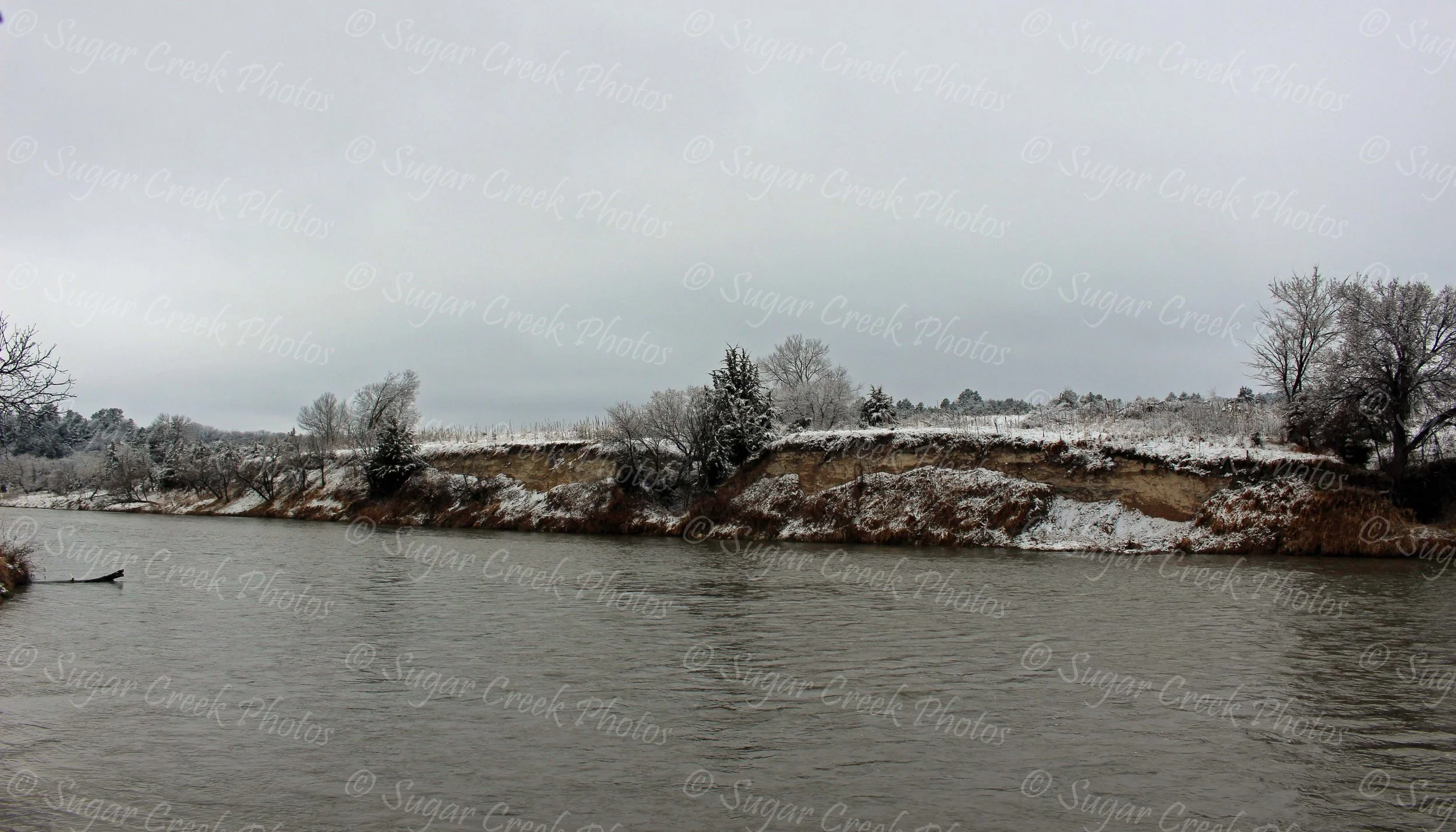 SCP IMG_7585.jpg