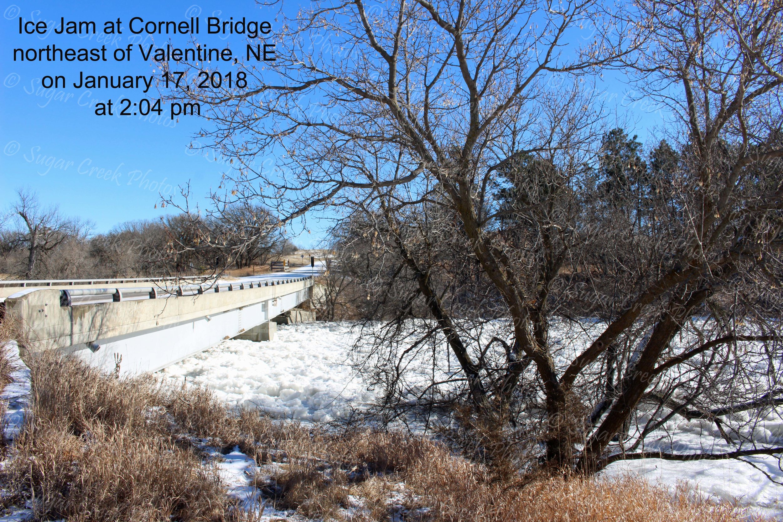 SCP Ice Jam at Cornell at Jan 17 pm WM IMG_7707.jpg