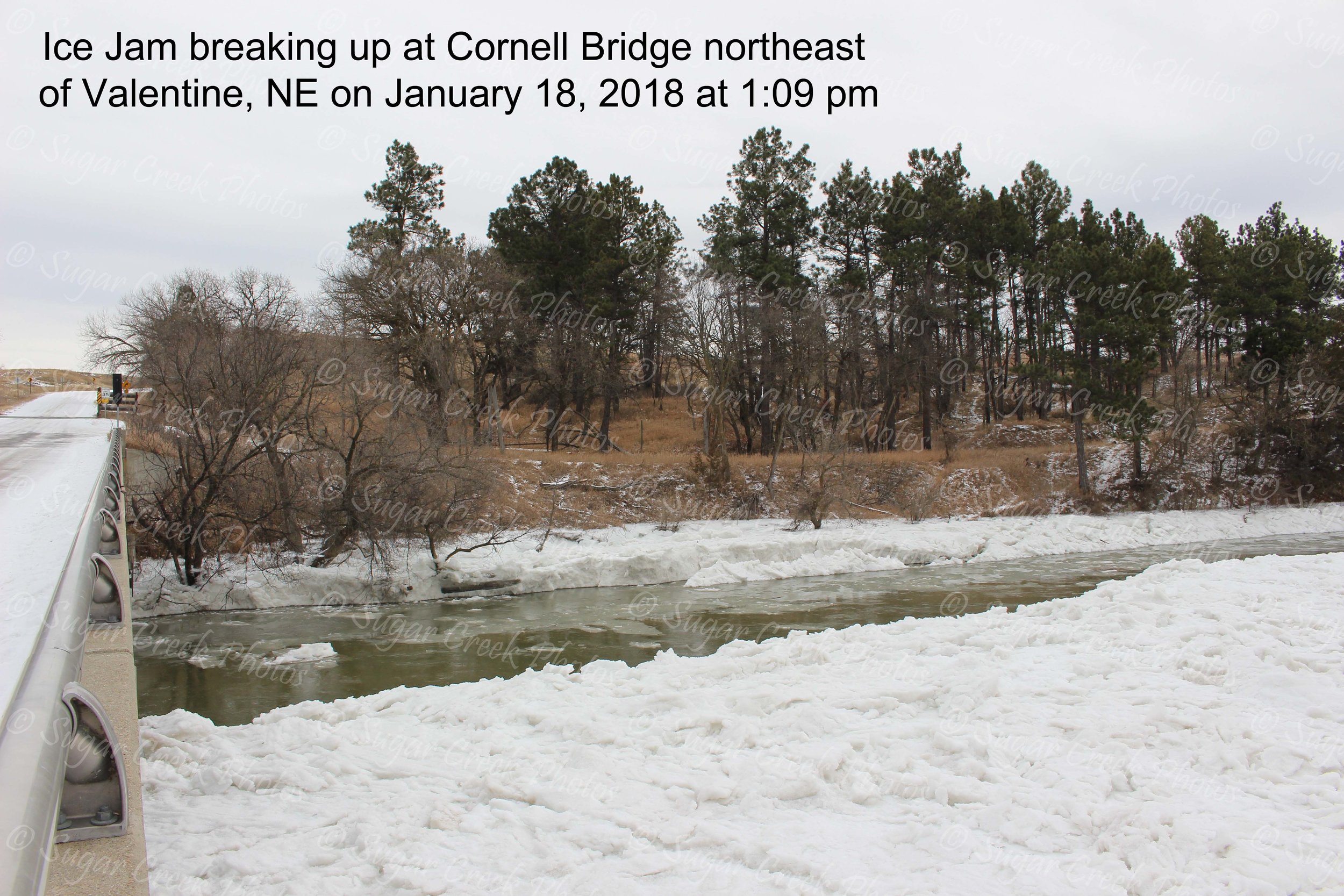 SCP ice jam at Cornell Jan 18 pm WM IMG_7982.jpg