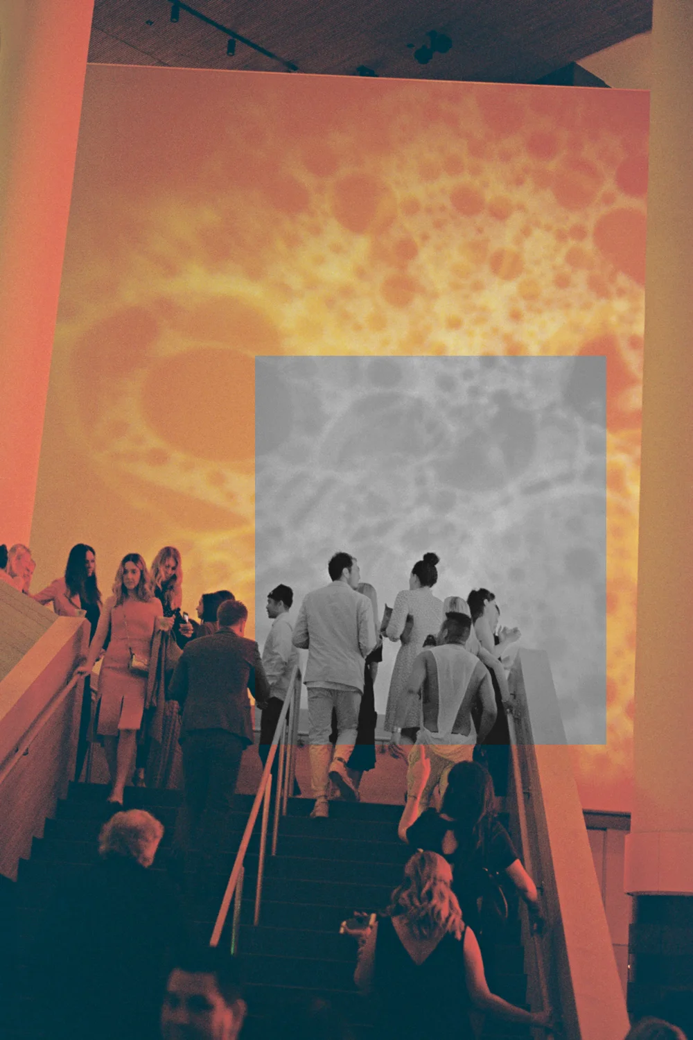 AA009A.jpg