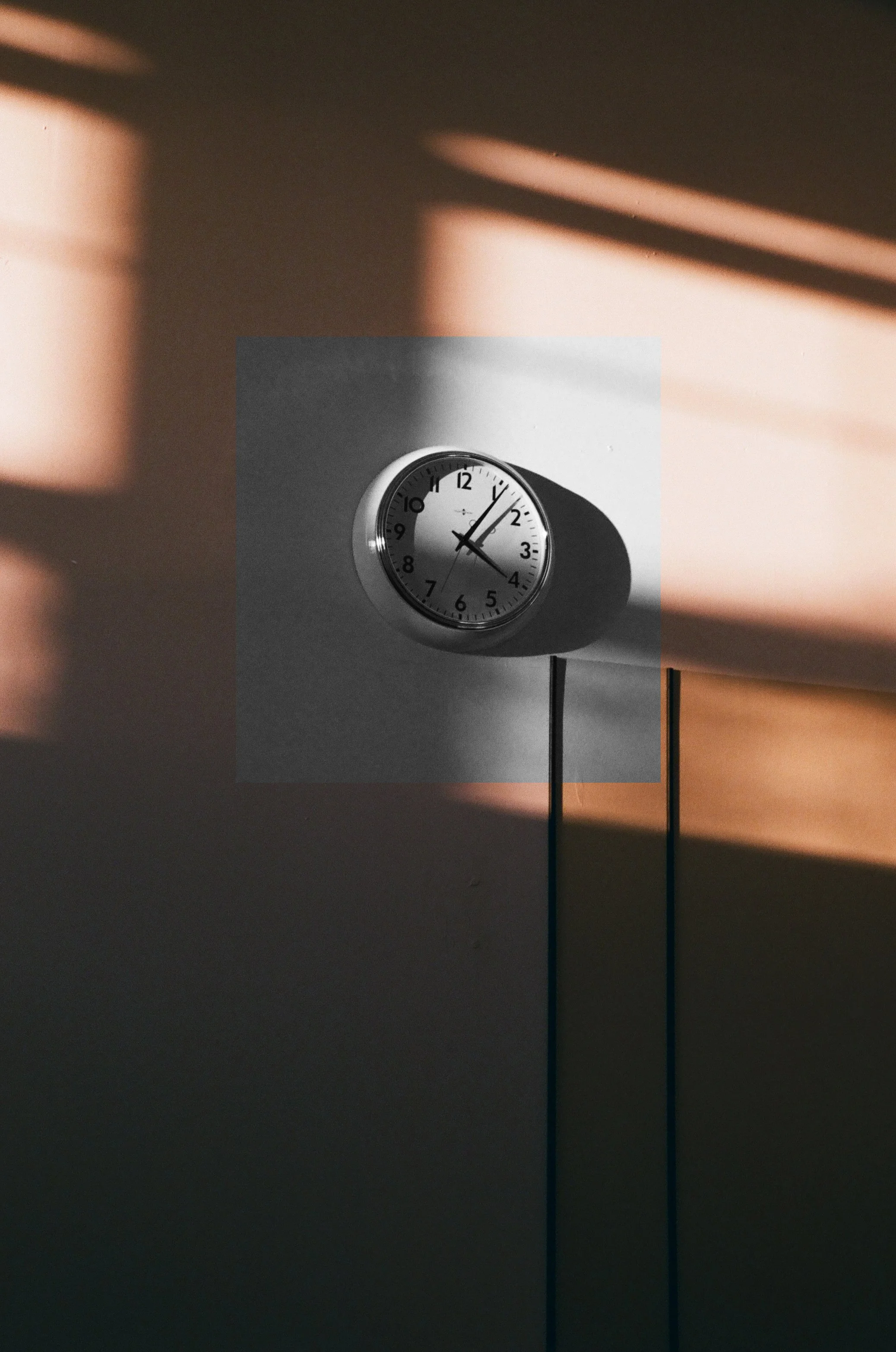 sun_8x10_15.jpg