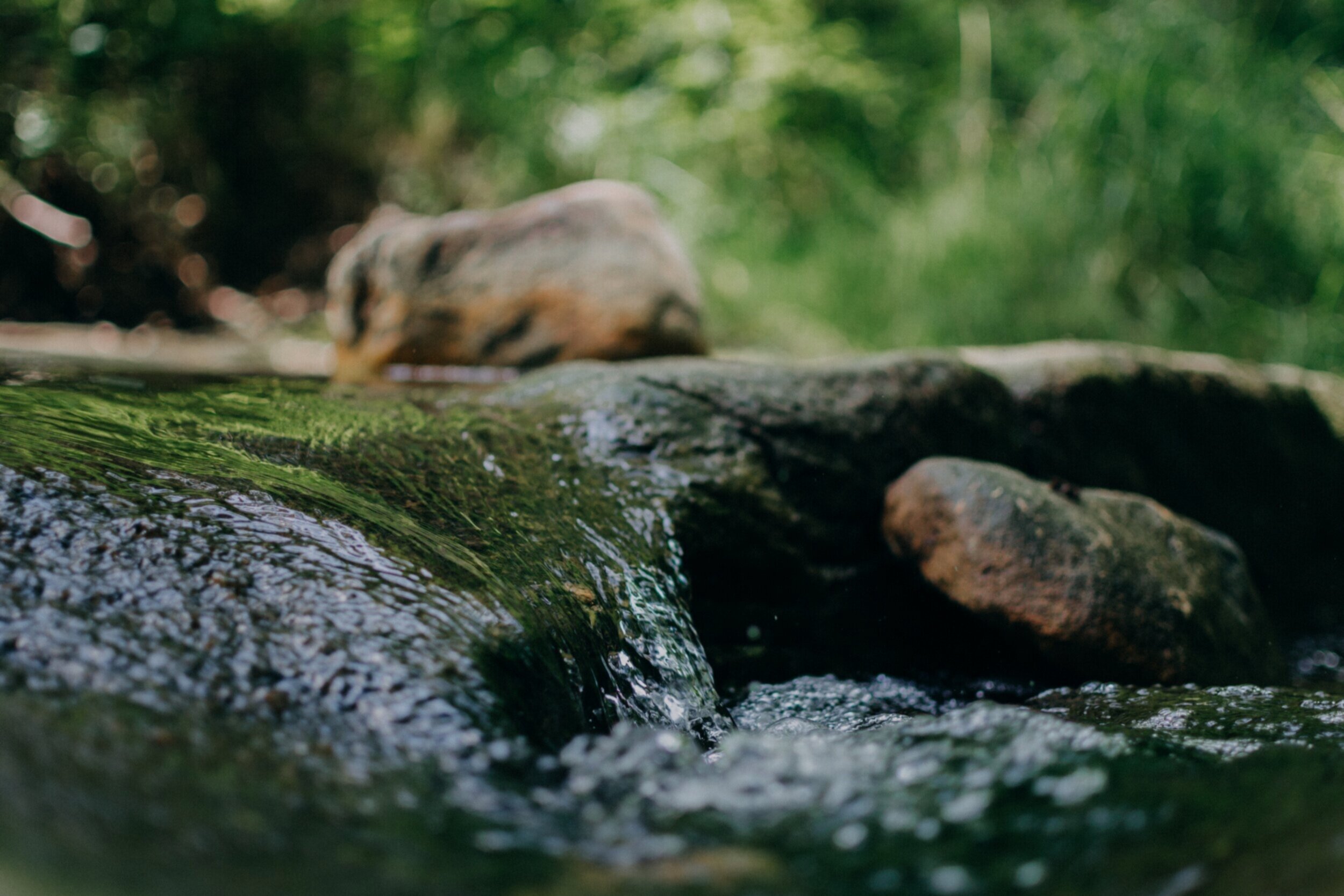blur-environment-flow-1333396.jpg