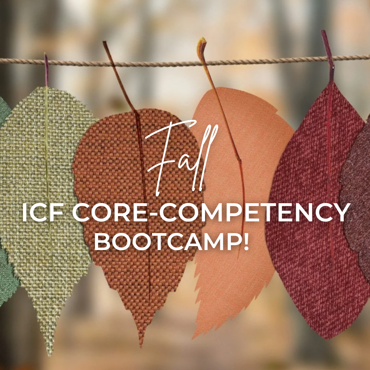 _FB Fall bootcamp.png