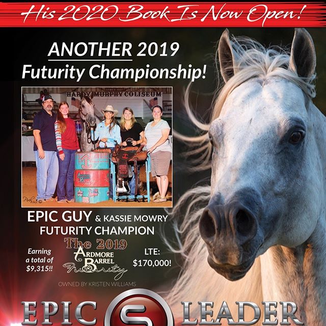 HIS 2020 BOOK IS NOW OPEN!  For more information, contact Brazos Valley Stallion Station, 254-485-8280, BrazosValleyStallionStation@gmail.com, www.EpicLeader.net, 979-977-EPIC.

#bhn #barrelhorsenews #kassiemowry #DDBHC&trade; #SelectStallionStakes #