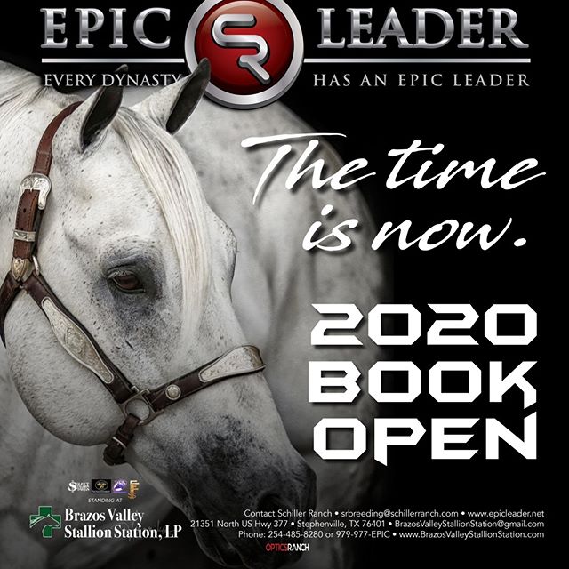 HIS 2020 BOOK IS NOW OPEN! For more information, contact Brazos Valley Stallion Station, 254-485-8280, BrazosValleyStallionStation@gmail.com, www.EpicLeader.net, 979-977-EPIC.

#bhn #barrelhorsenews #kassiemowry #DDBHC&trade; #SelectStallionStakes #b
