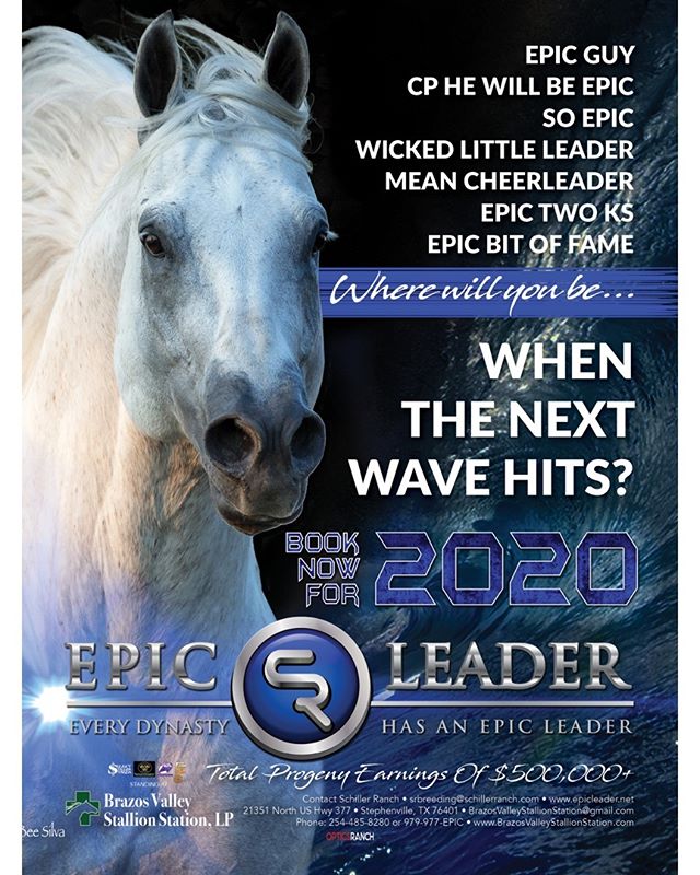 HIS 2020 BOOK IS NOW OPEN! For more information, contact Brazos Valley Stallion Station, 254-485-8280, BrazosValleyStallionStation@gmail.com, www.EpicLeader.net, 979-977-EPIC.

#bhn #barrelhorsenews #kassiemowry #DDBHC&trade; #SelectStallionStakes #b