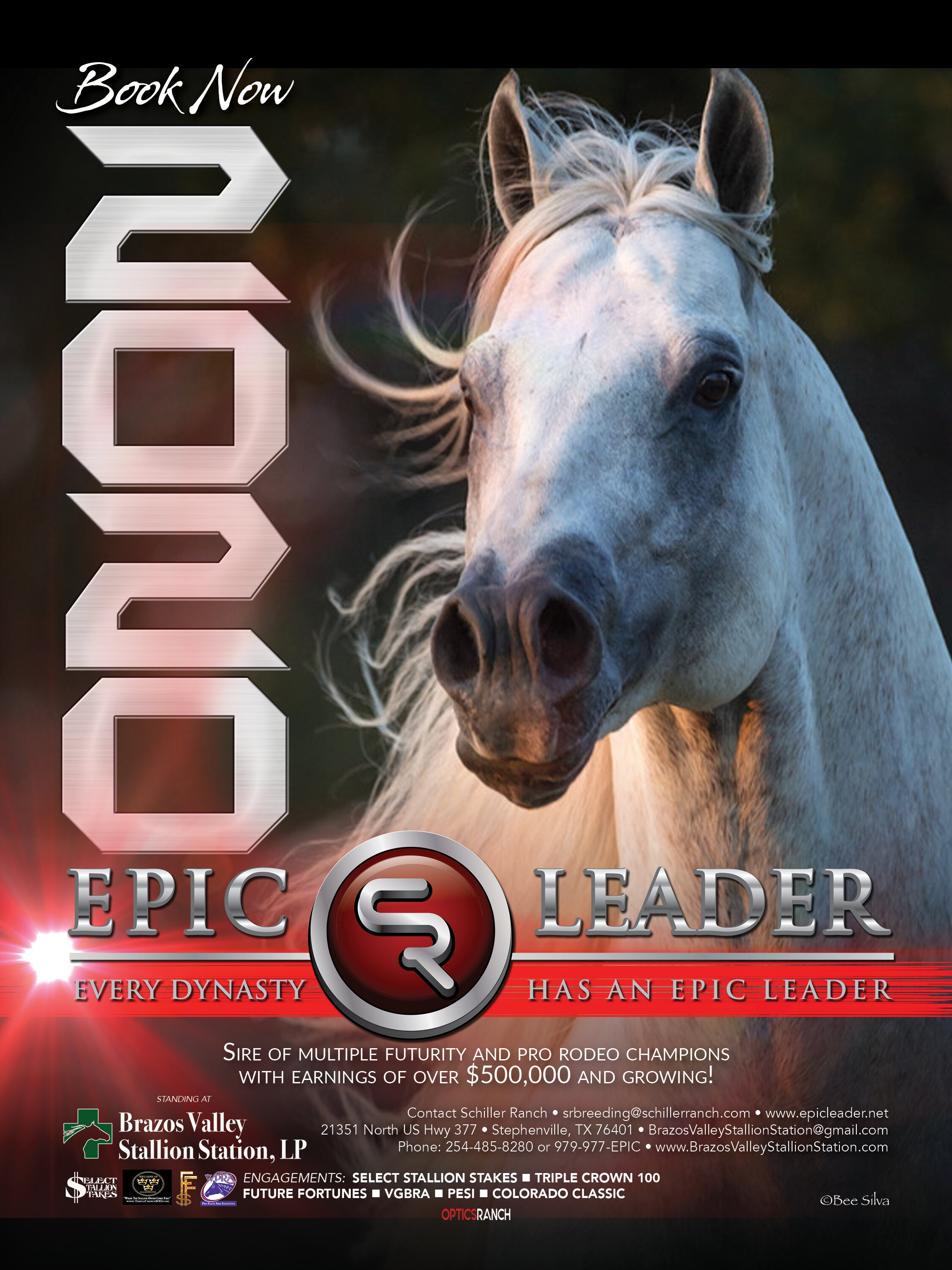 102919 BRR - Epic Leader.jpg