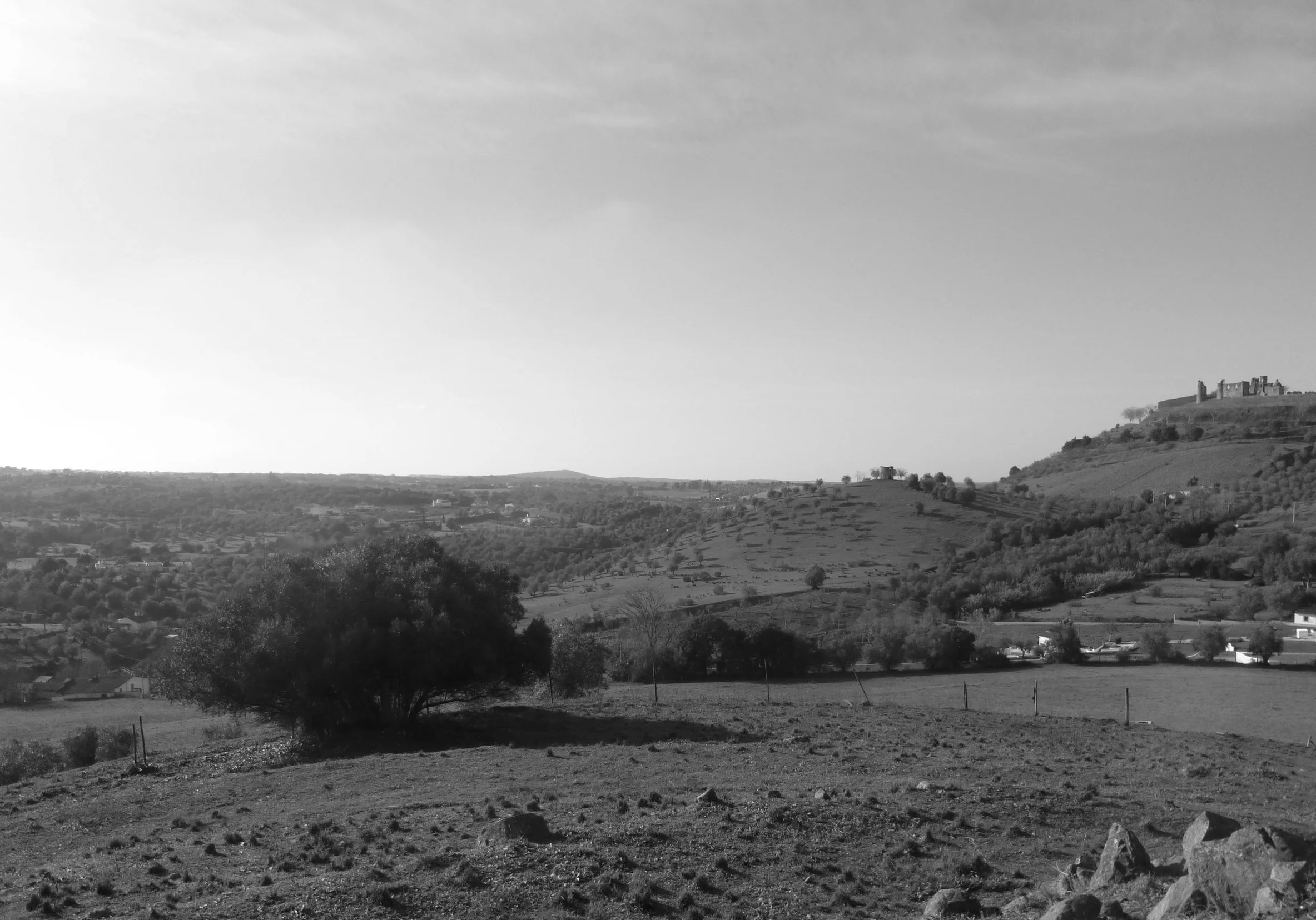 P1030282.JPG