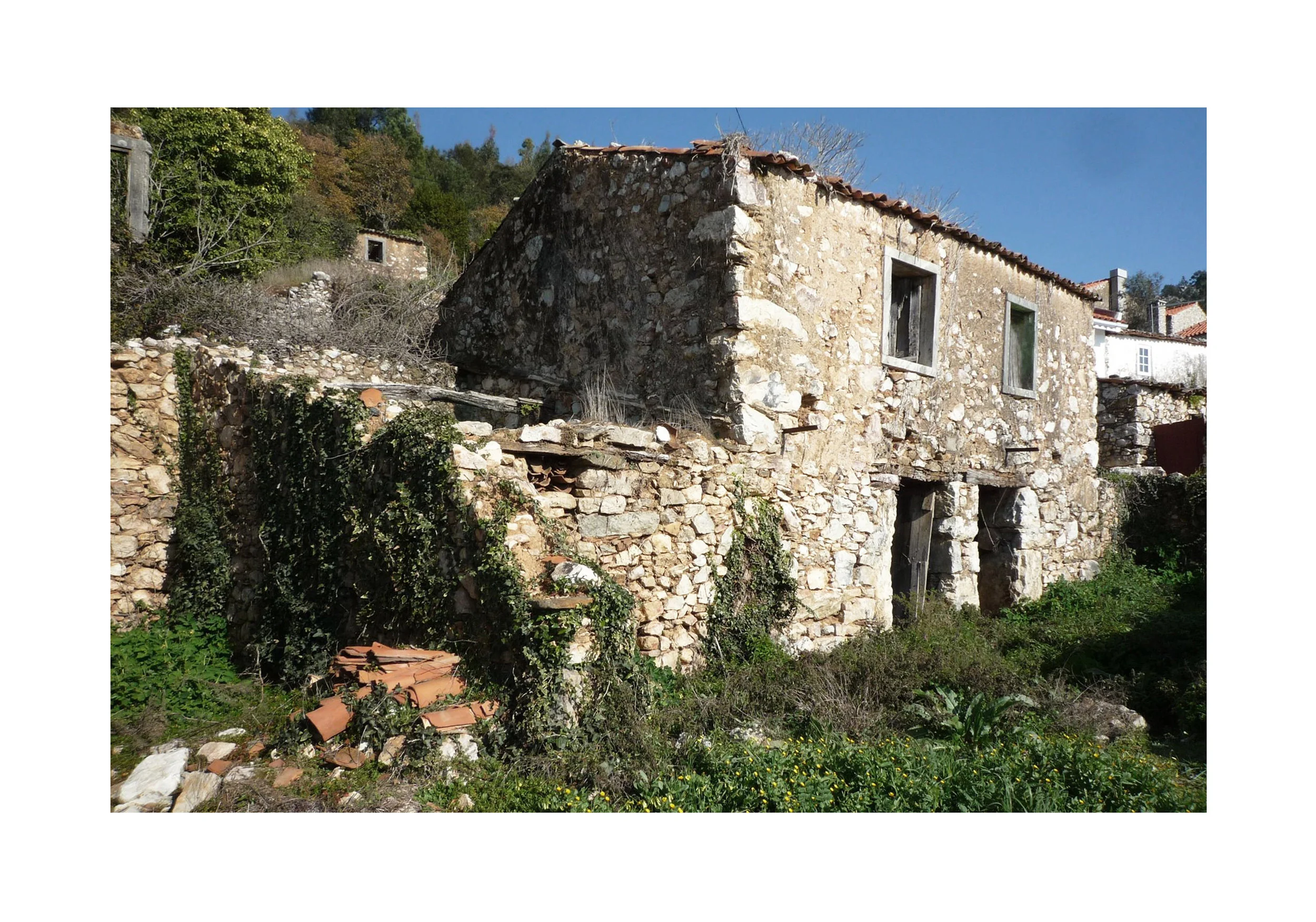casa m