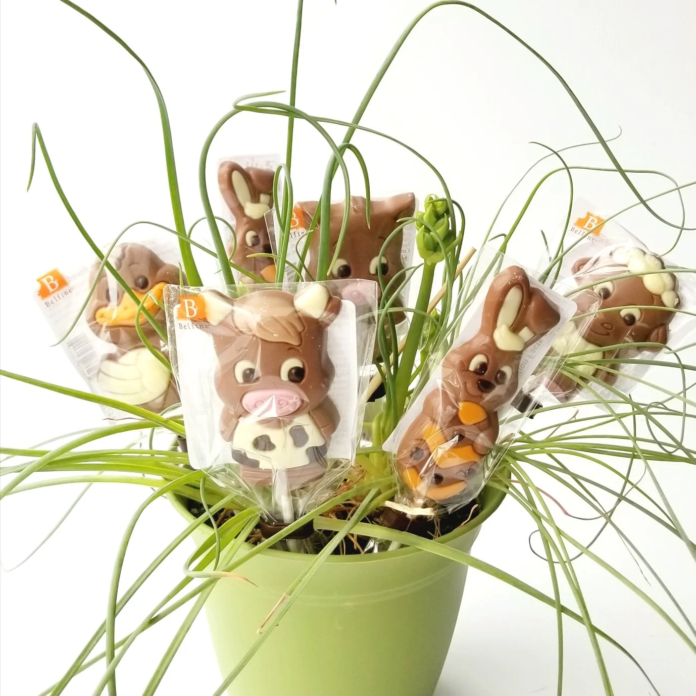 Belfine Farm Friends Chocolate Lollipop Set