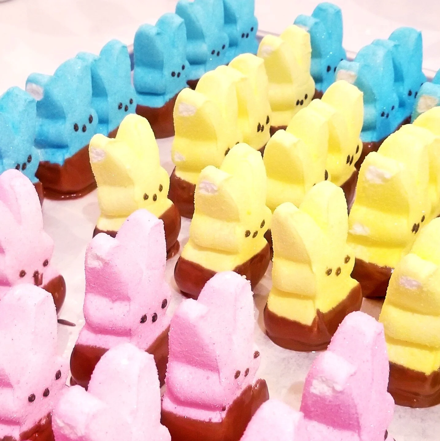 Chocolate Bunny Marshmallow Peeps