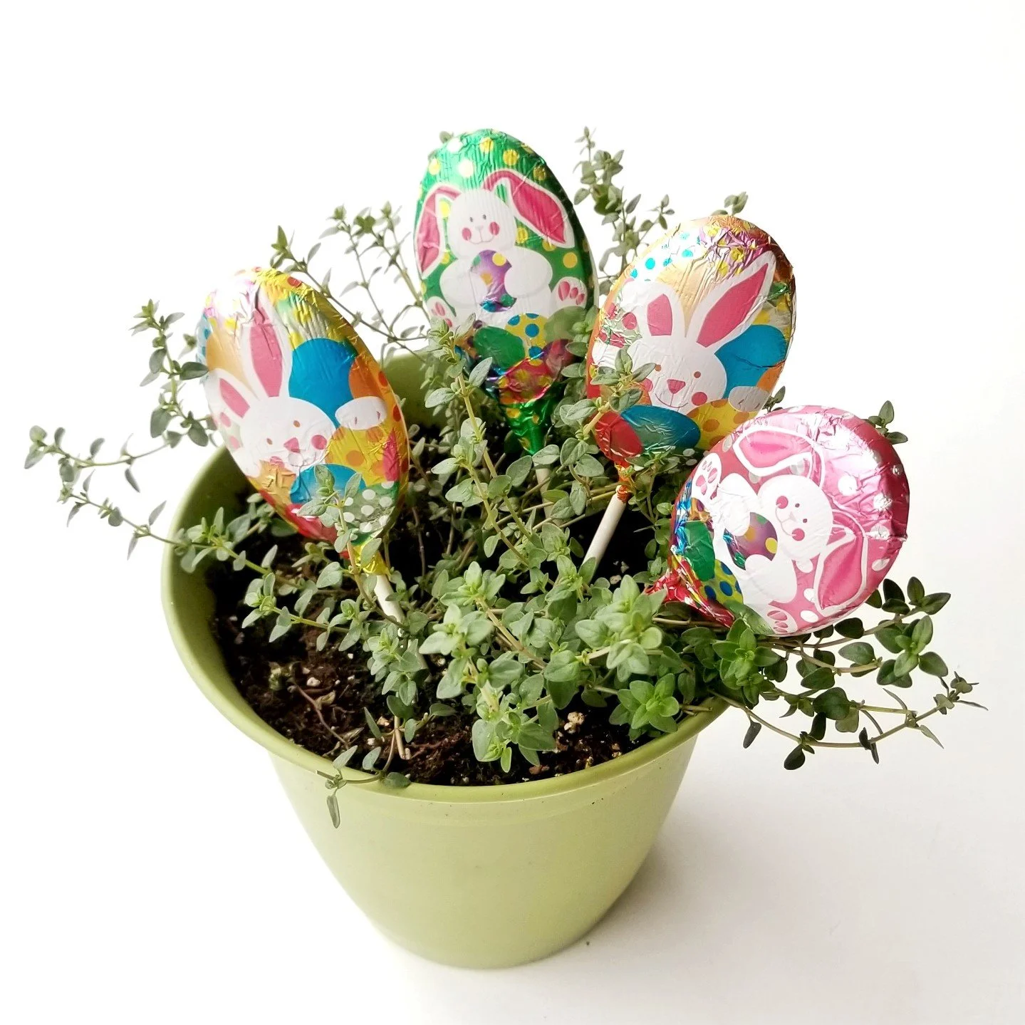 Chocolate Lollipop Bunnies