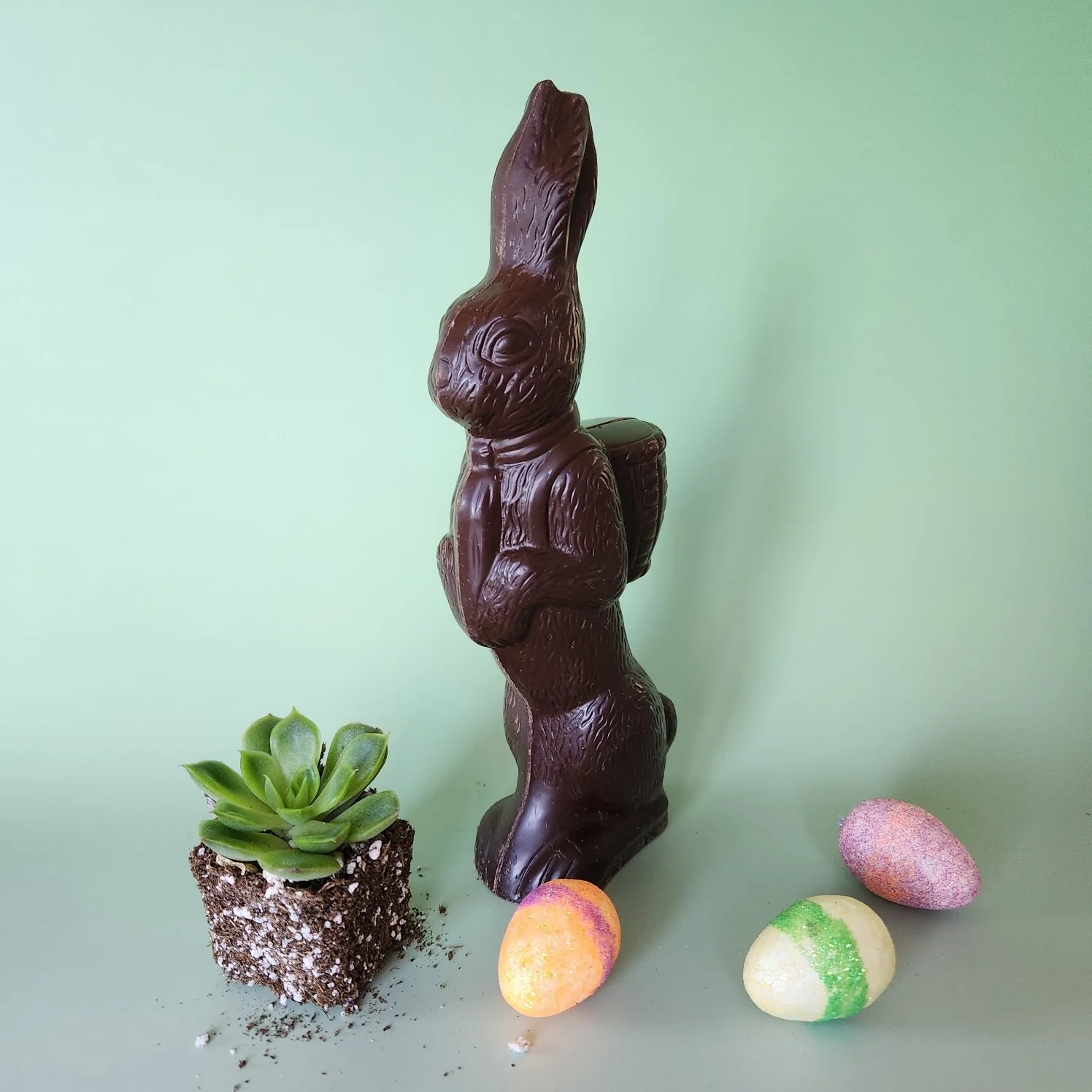 Solid Chocolate Rabbit