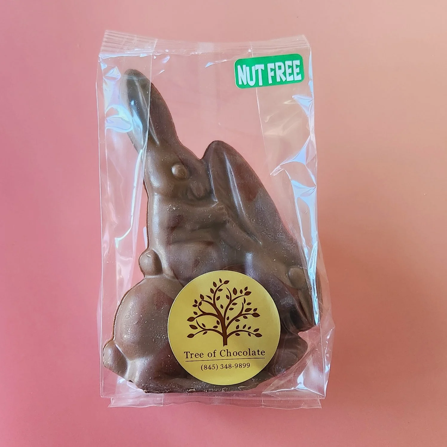 Nut Free Chocolate Bunny n Baby