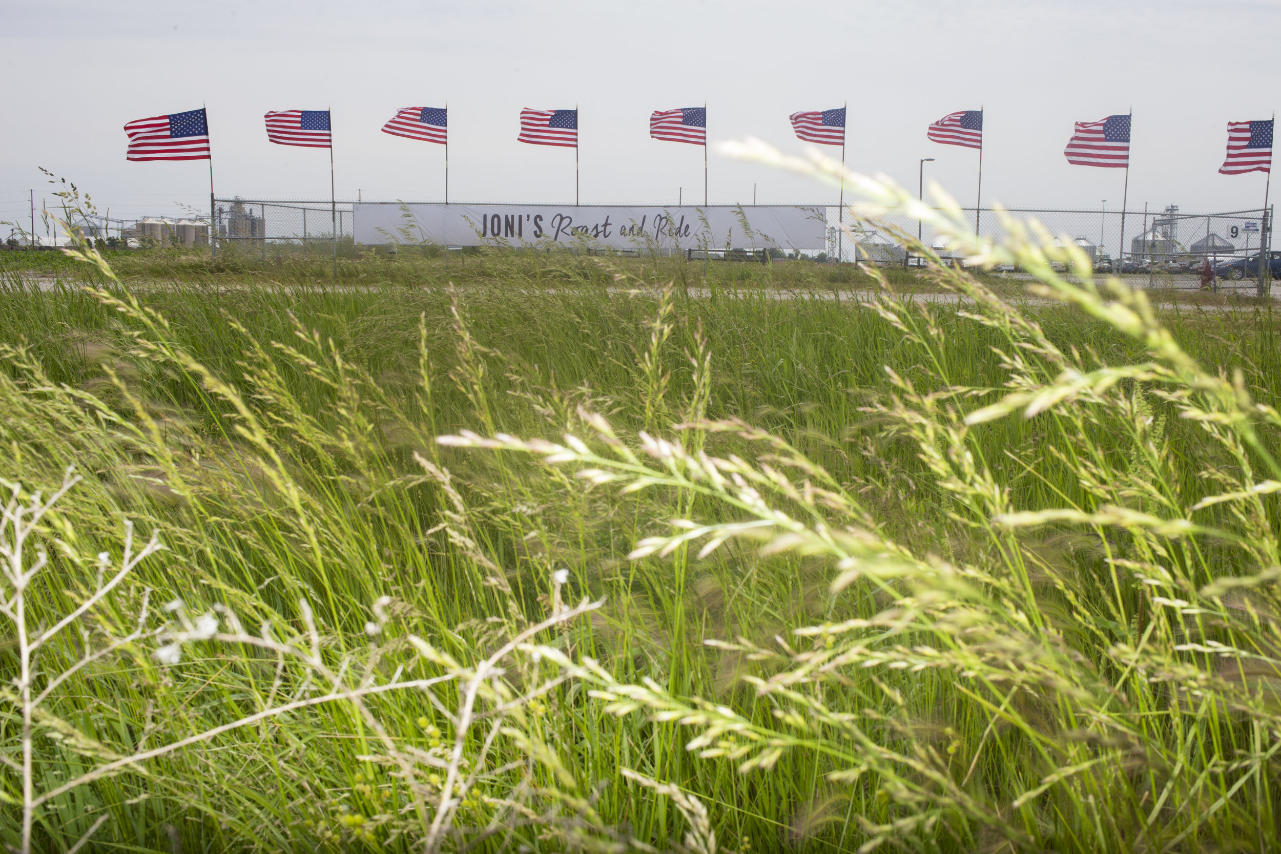  Flags and tall grass blow in the wind at Senator Joni Ernst's First Annual Roast &amp; Ride on June 6, 2015 in Boone, Iowa.  