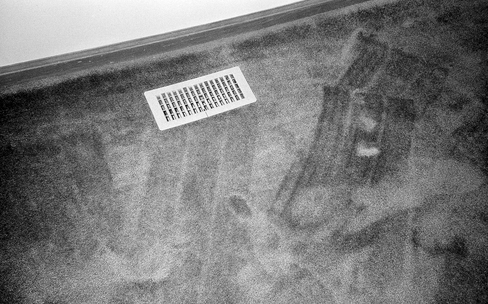 Evidence of cleanliness