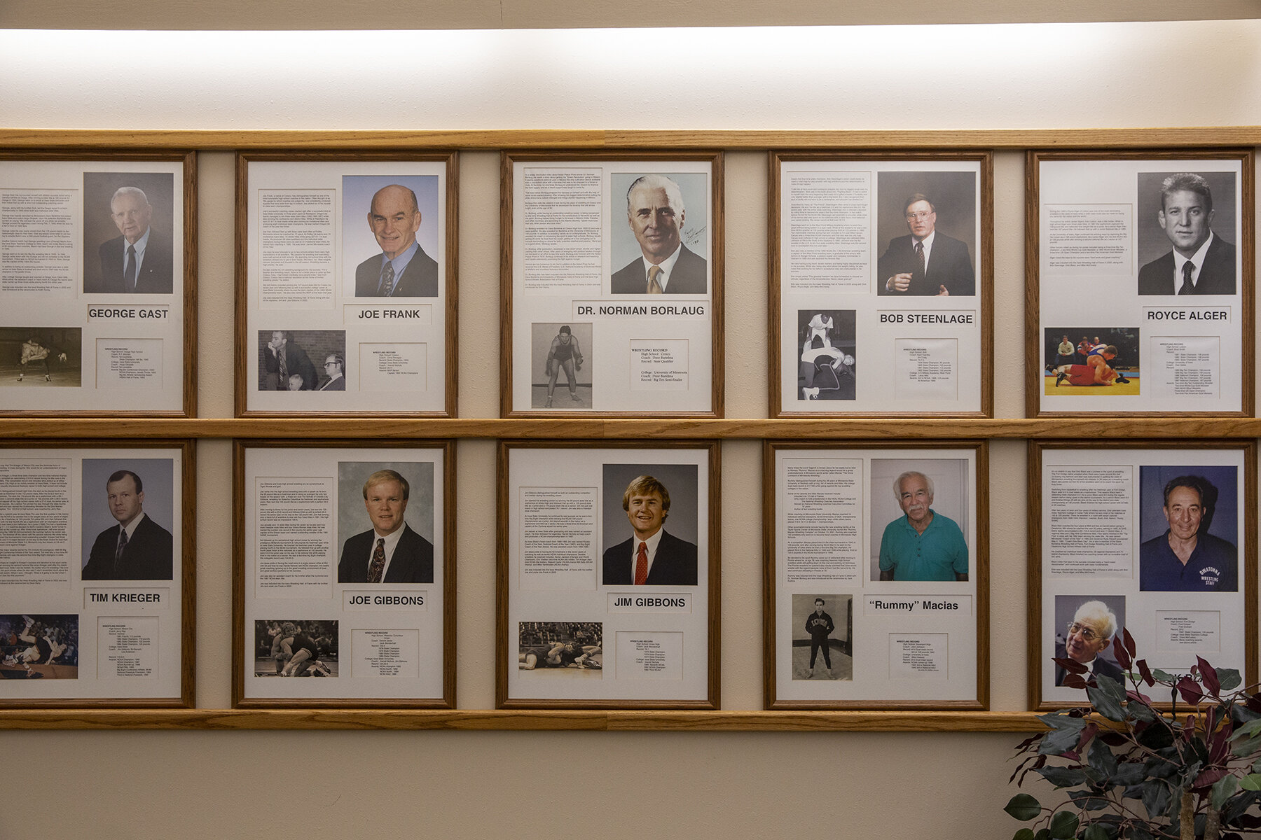  A wall of inductees featuring Dr. Norman Borlaug at the Iowa Wrestling Hall of Fame, Cresco. Dr. Borlaug, who grew up on a nearby farm, was an agronomist who led the development of high-yield, disease-resistant wheat varieties, considered an innovat