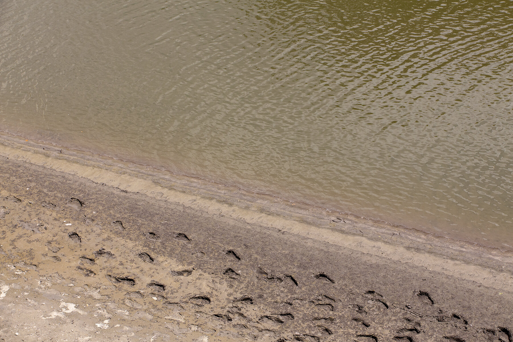  North Raccoon River. The North Raccoon is the largest of the three forks of the Raccoon River, a tributary of the Des Moines River, passing through six counties. The Raccoon River is the primary source of drinking water for approximately 500,000 cen