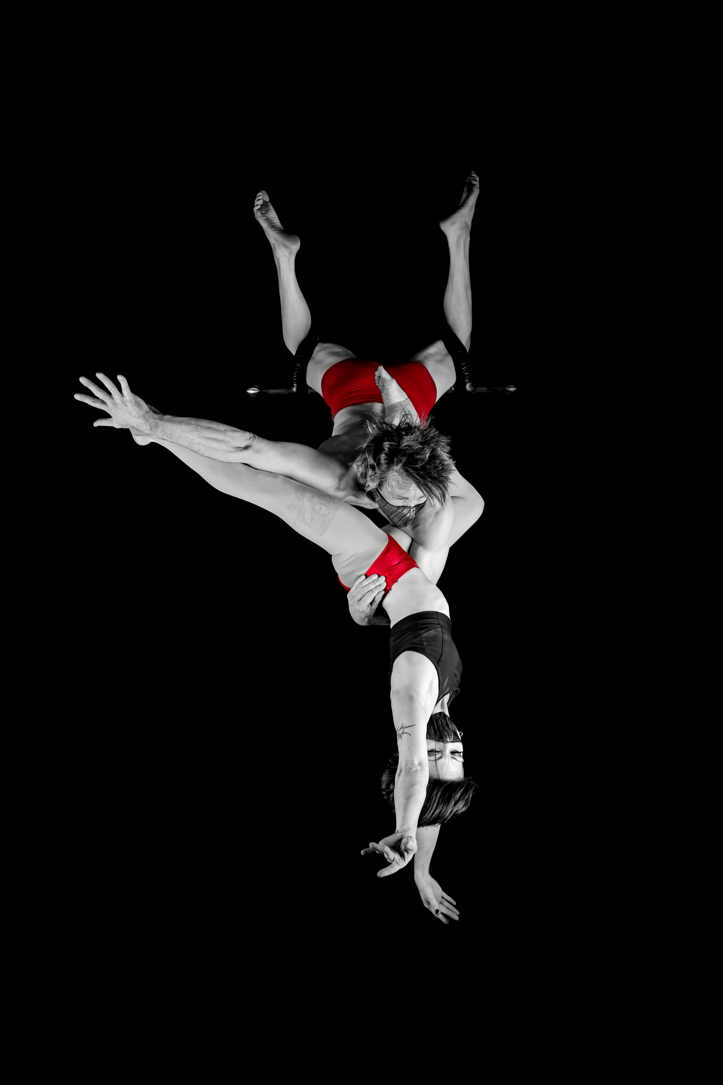 Duo Trapeze Series - Fundamentals &amp; Sequences