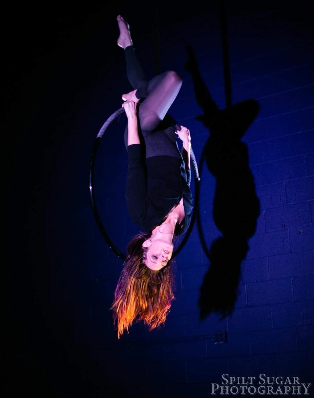 Lyra Conditioning with Stacey - Club Q Donation Series