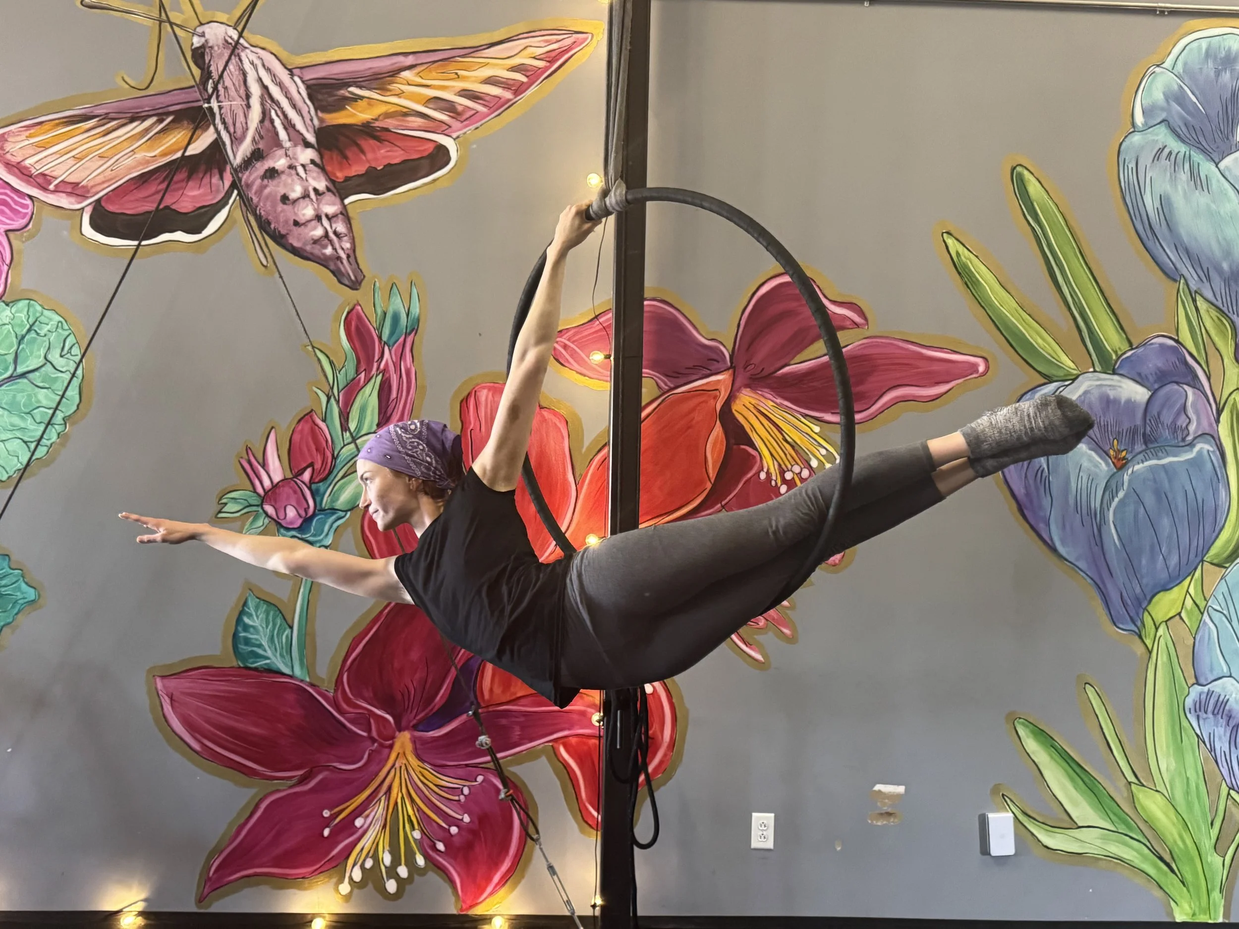 Intro to Aerial - Adult Class Series - with Sofia Rodriguez
