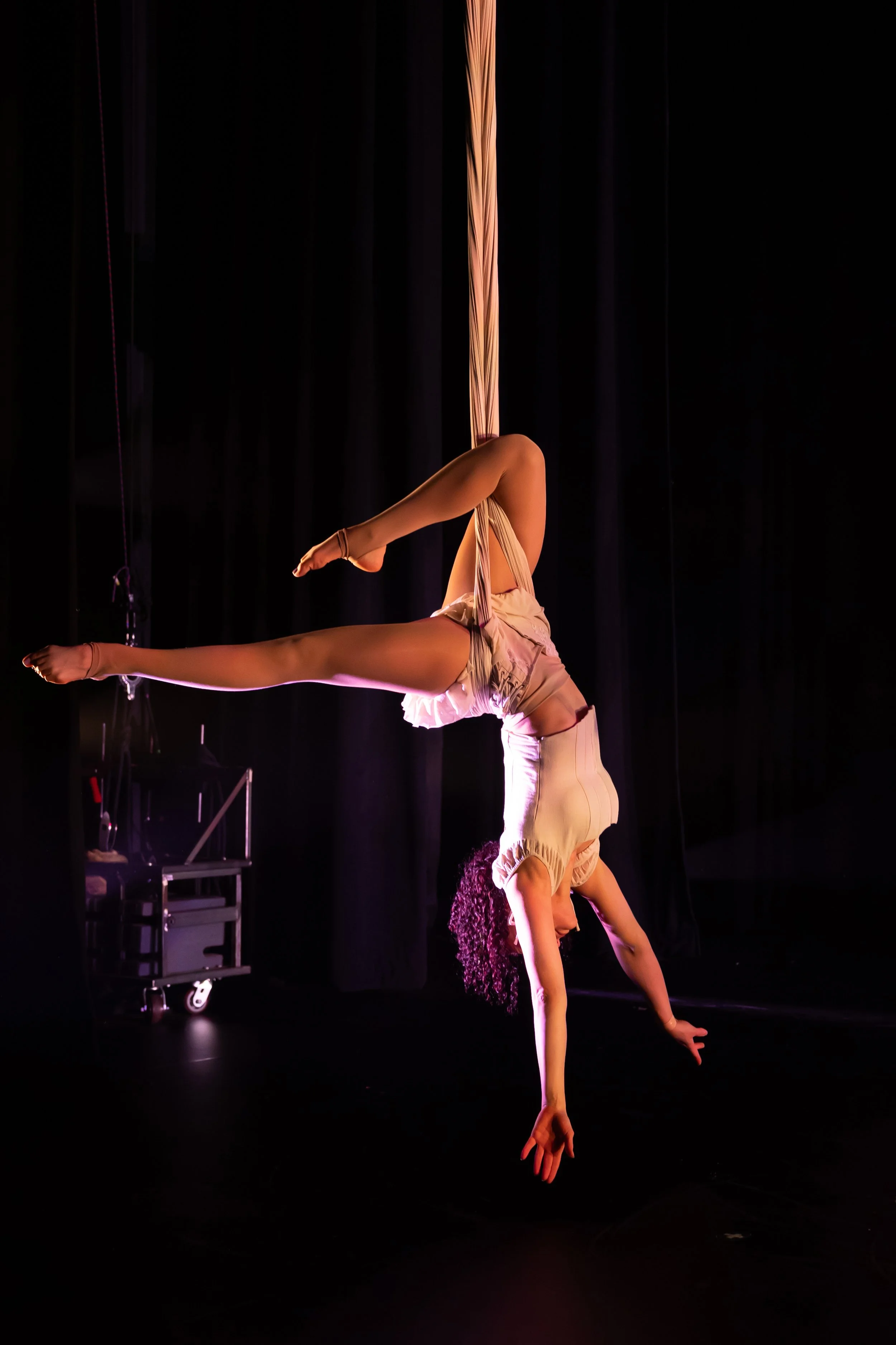Beyond the Basics - Adult Class Series - with Sofia Rodriguez 